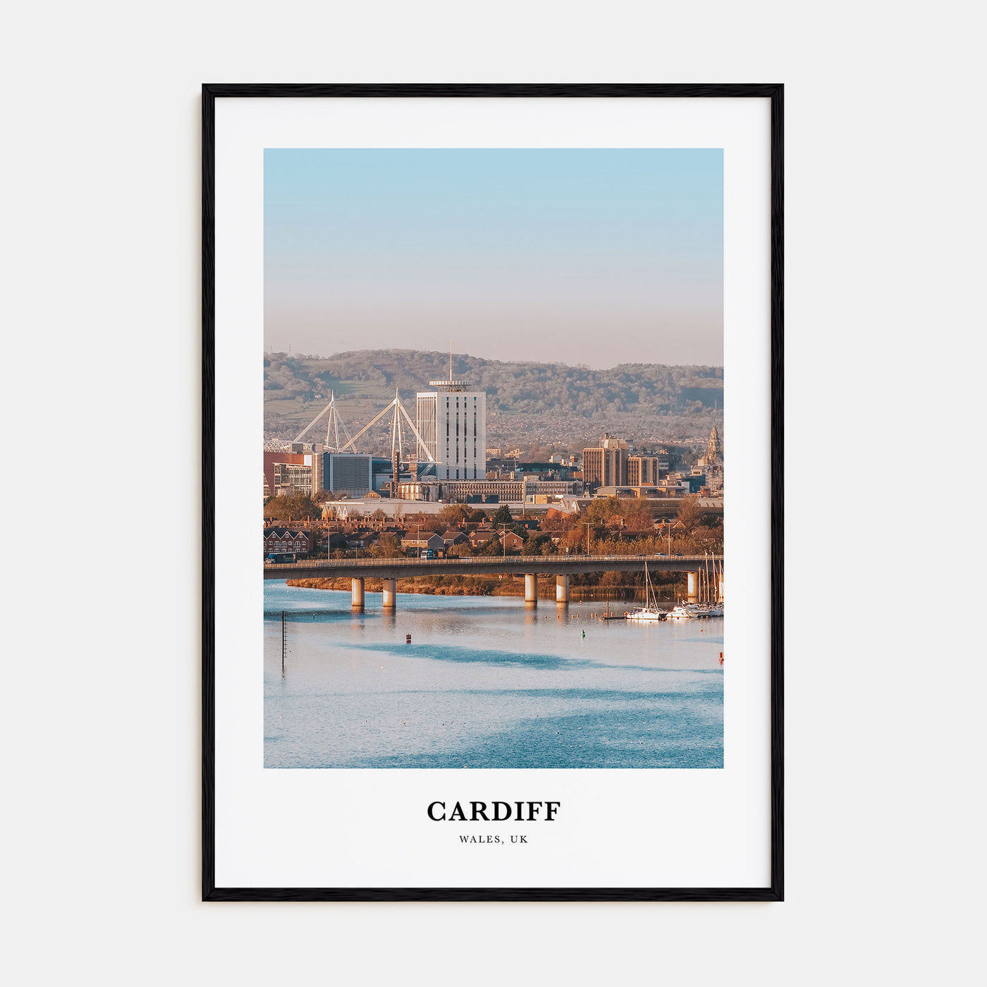 Cardiff Portrait Color Poster
