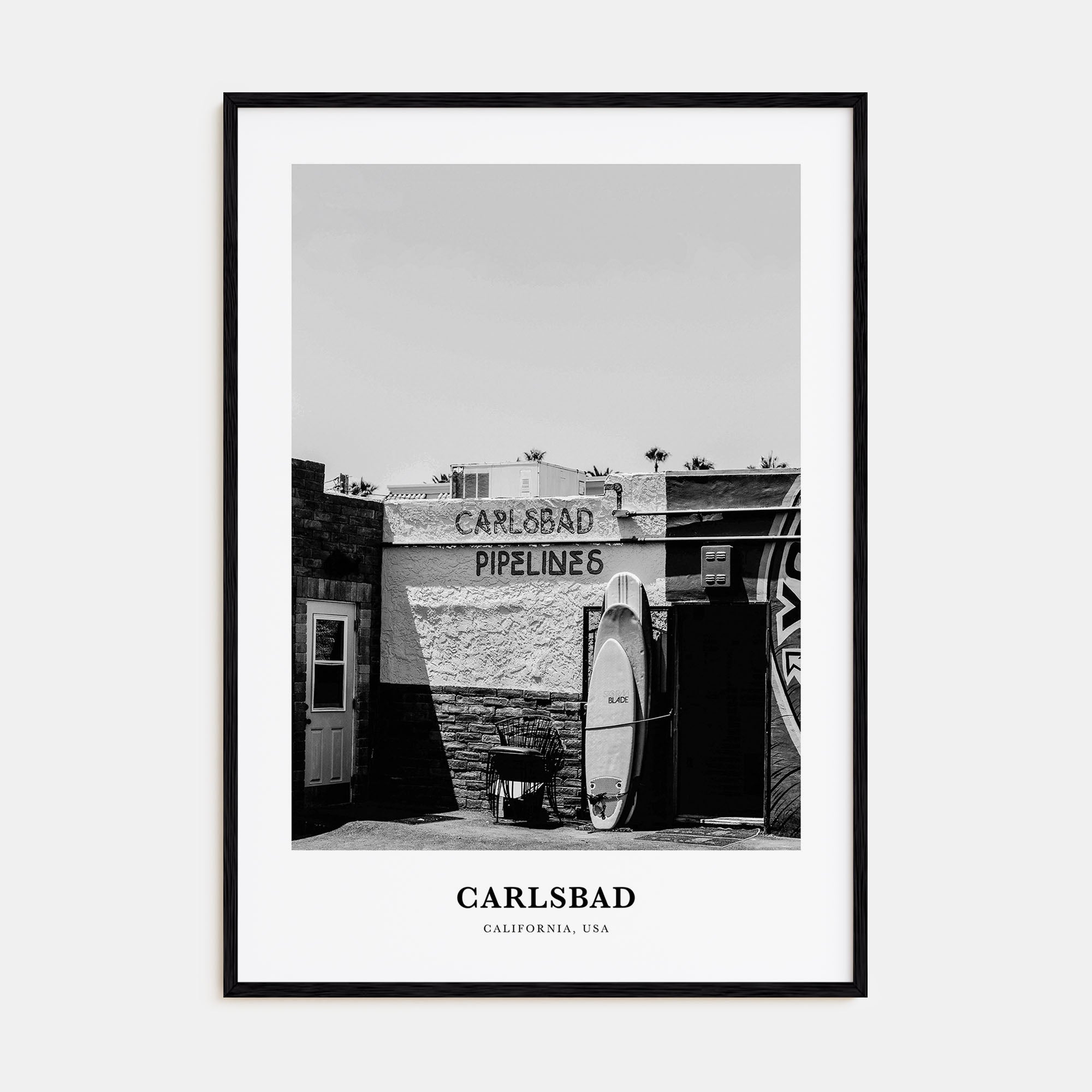 Carlsbad Portrait B&W No 2 Poster