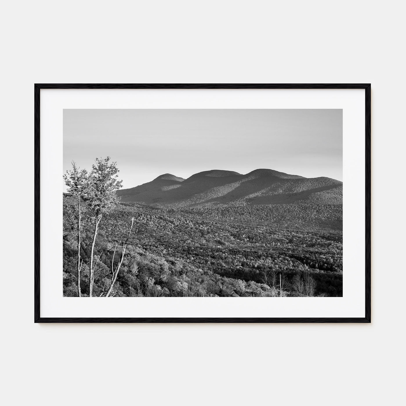 Catskill Mountains Landscape B&W Poster