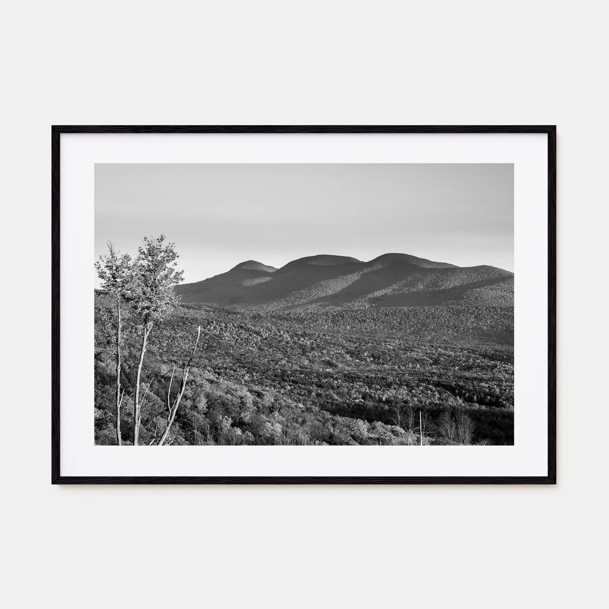 Catskill Mountains Landscape B&W Poster