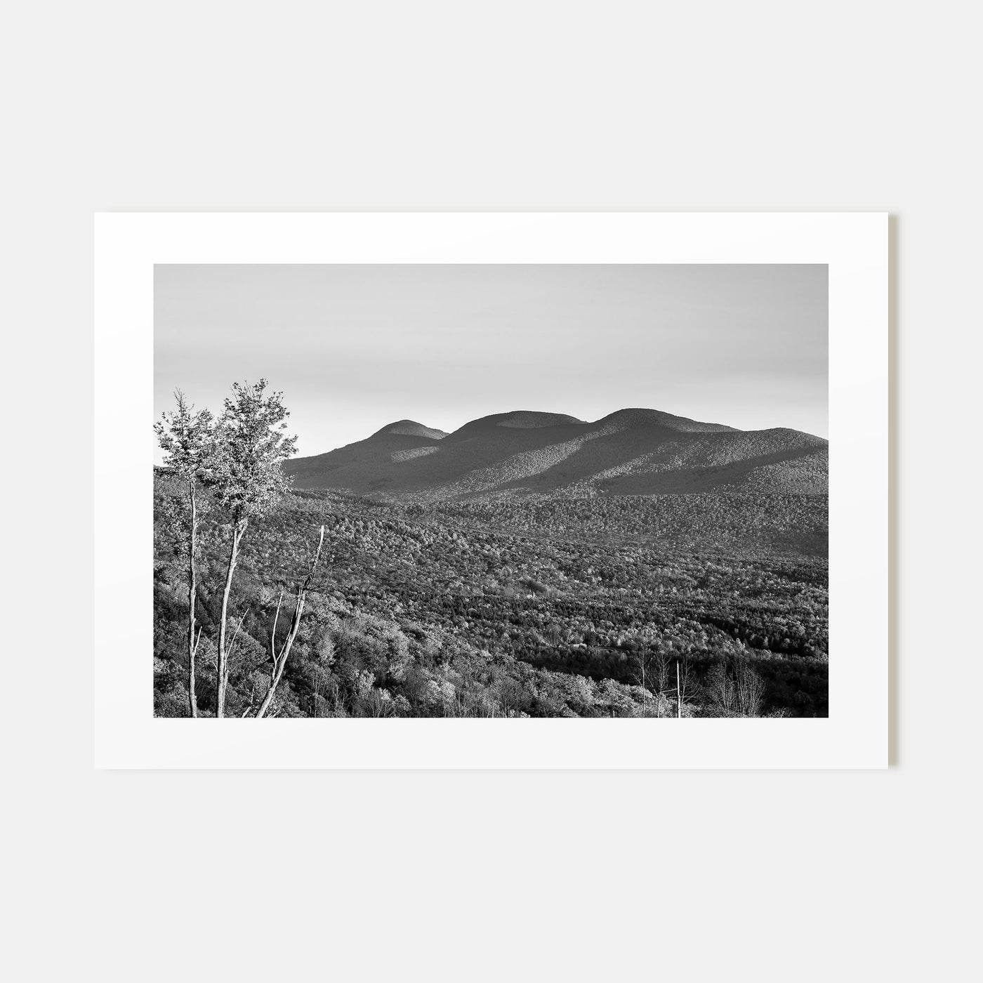 Catskill Mountains Landscape B&W Poster