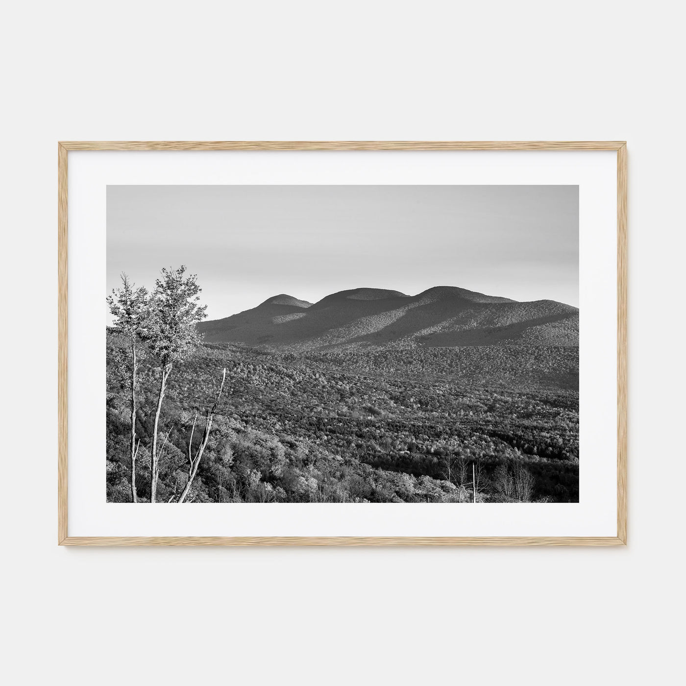 Catskill Mountains Landscape B&W Poster