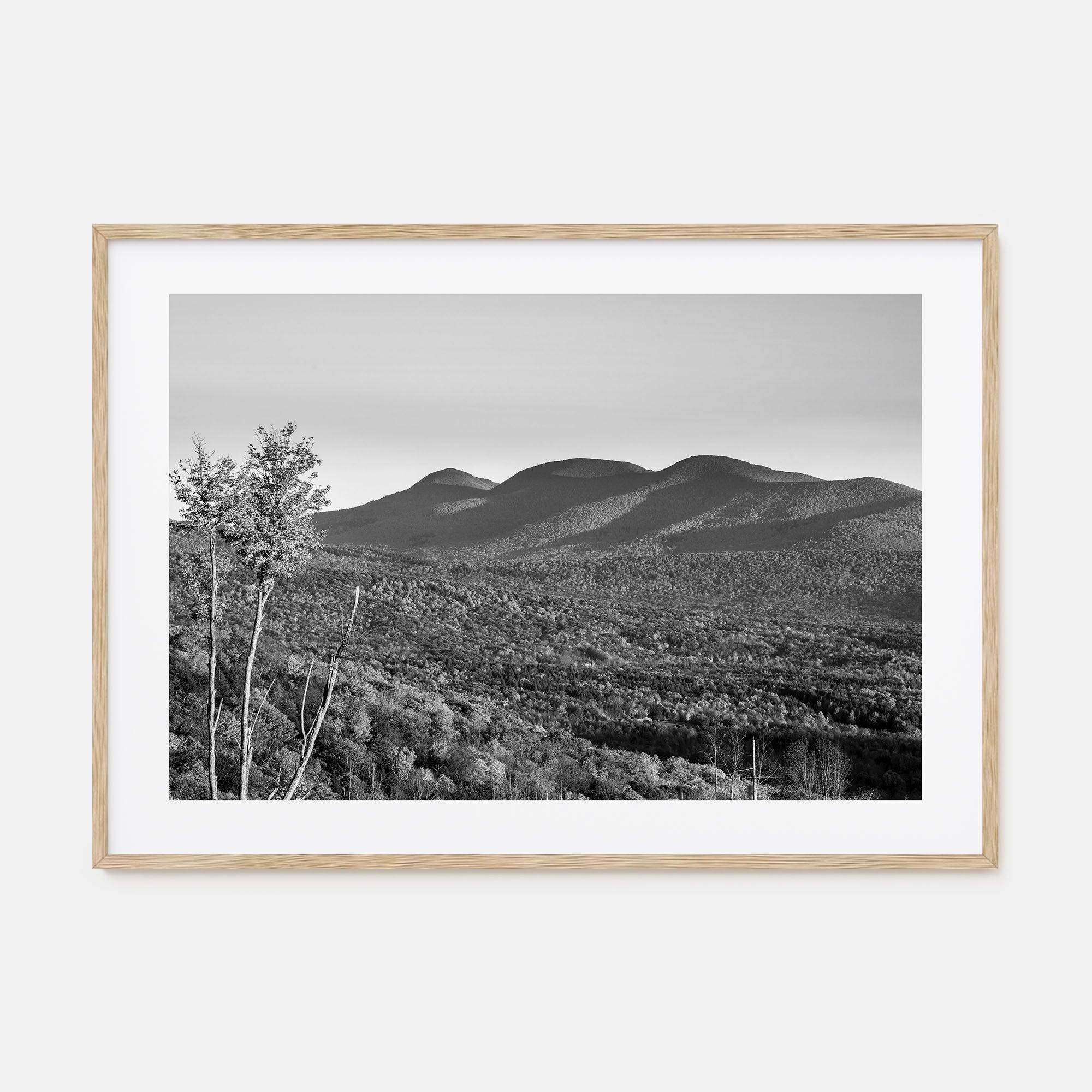 Catskill Mountains Landscape B&W Poster