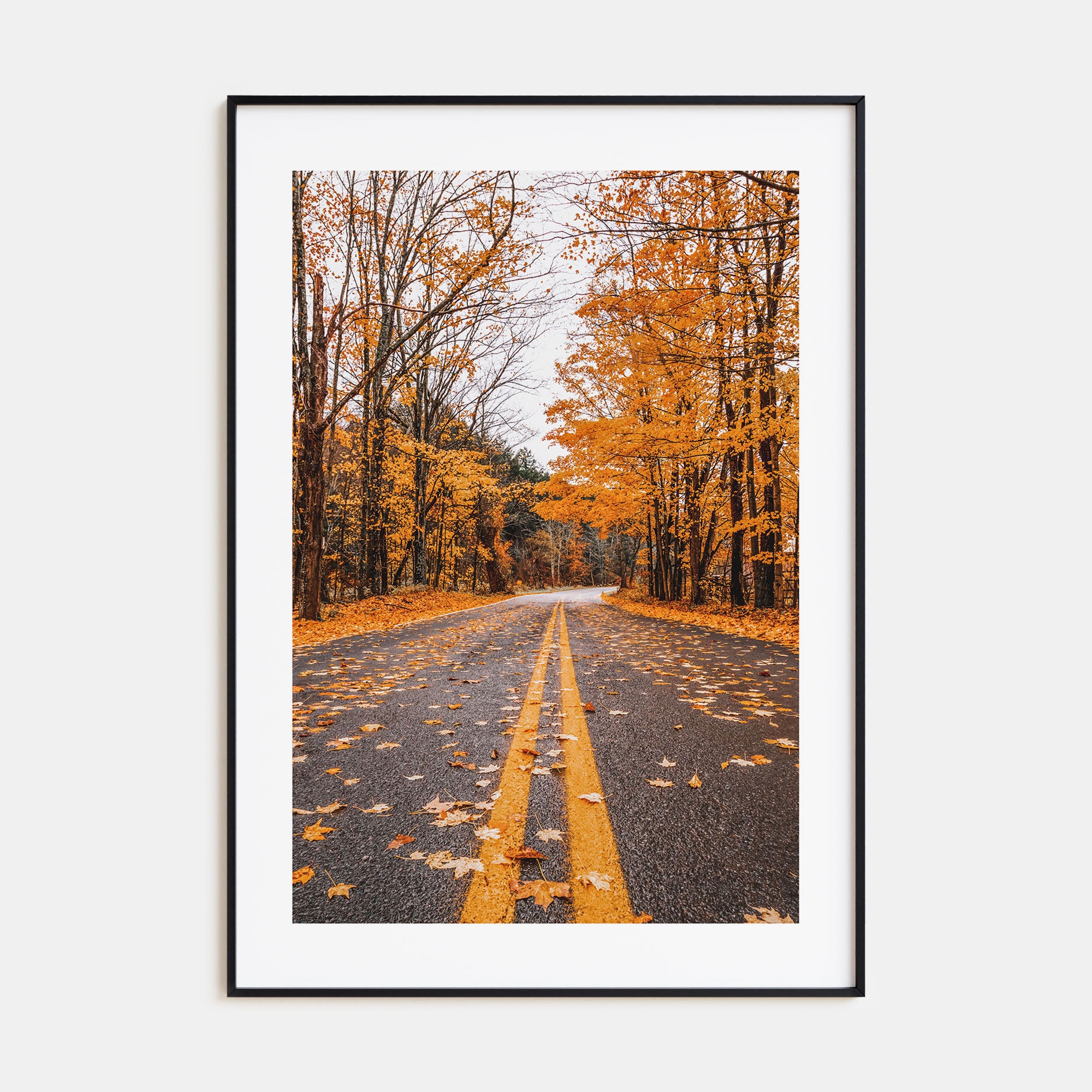 Catskill Mountains Photo Color No 3 Poster