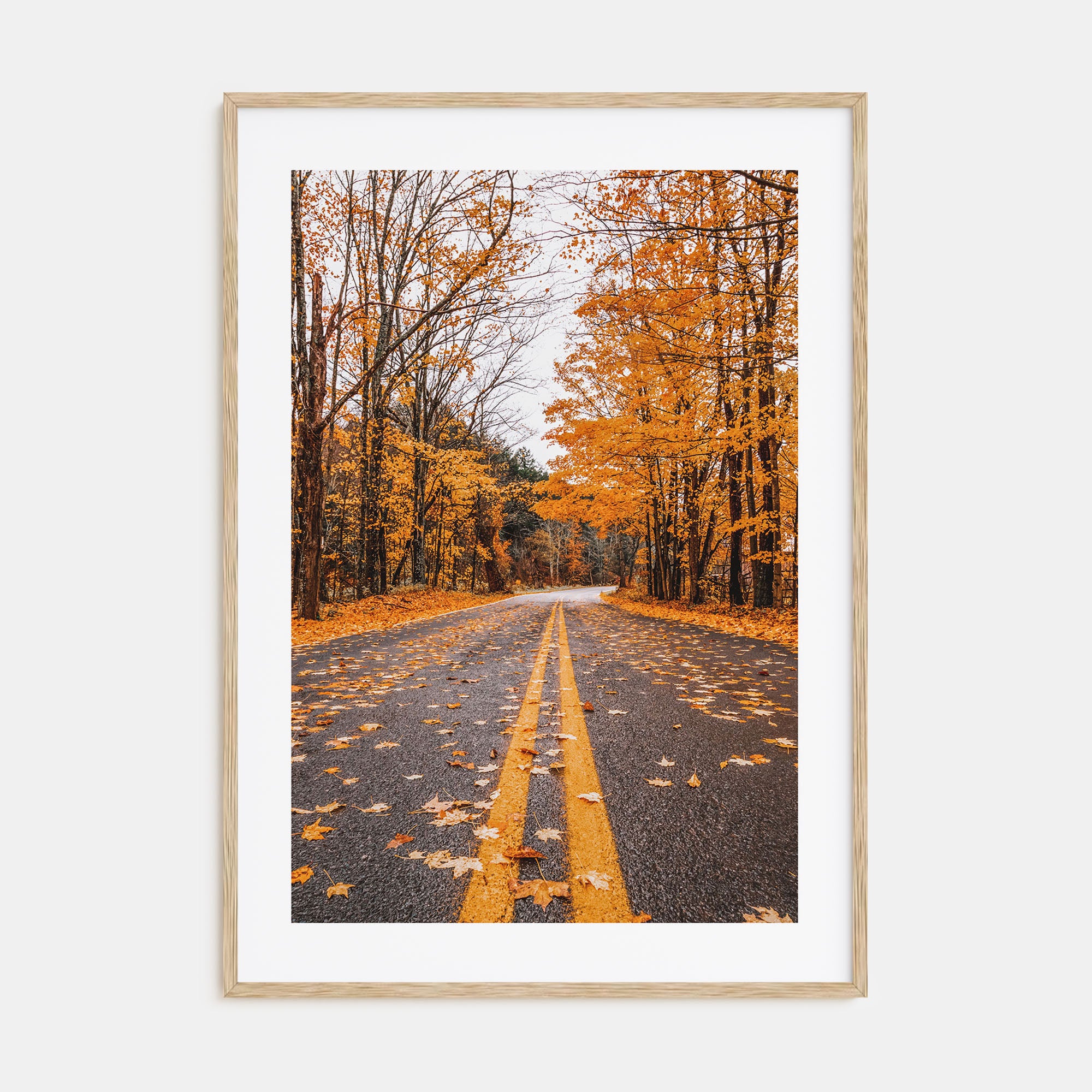 Catskill Mountains Photo Color No 3 Poster