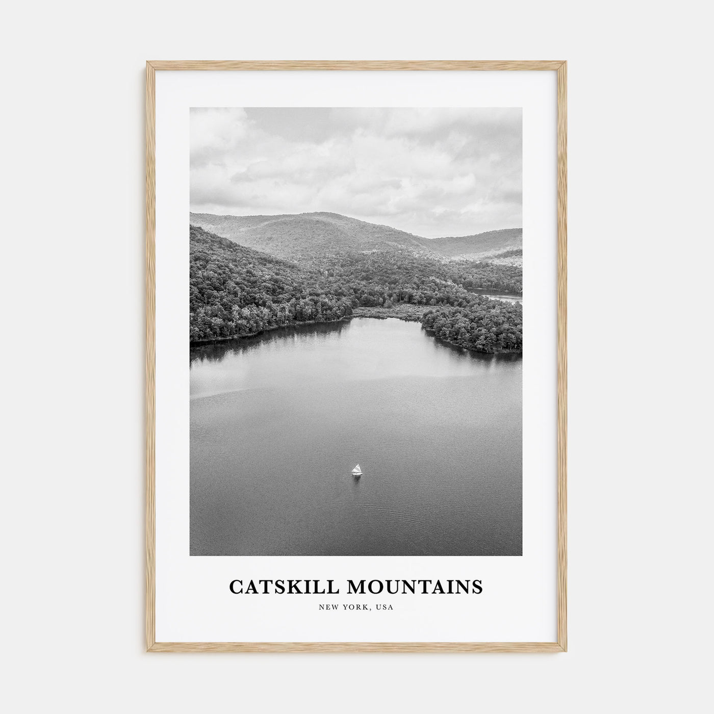 Catskill Mountains Portrait B&W No 2 Poster