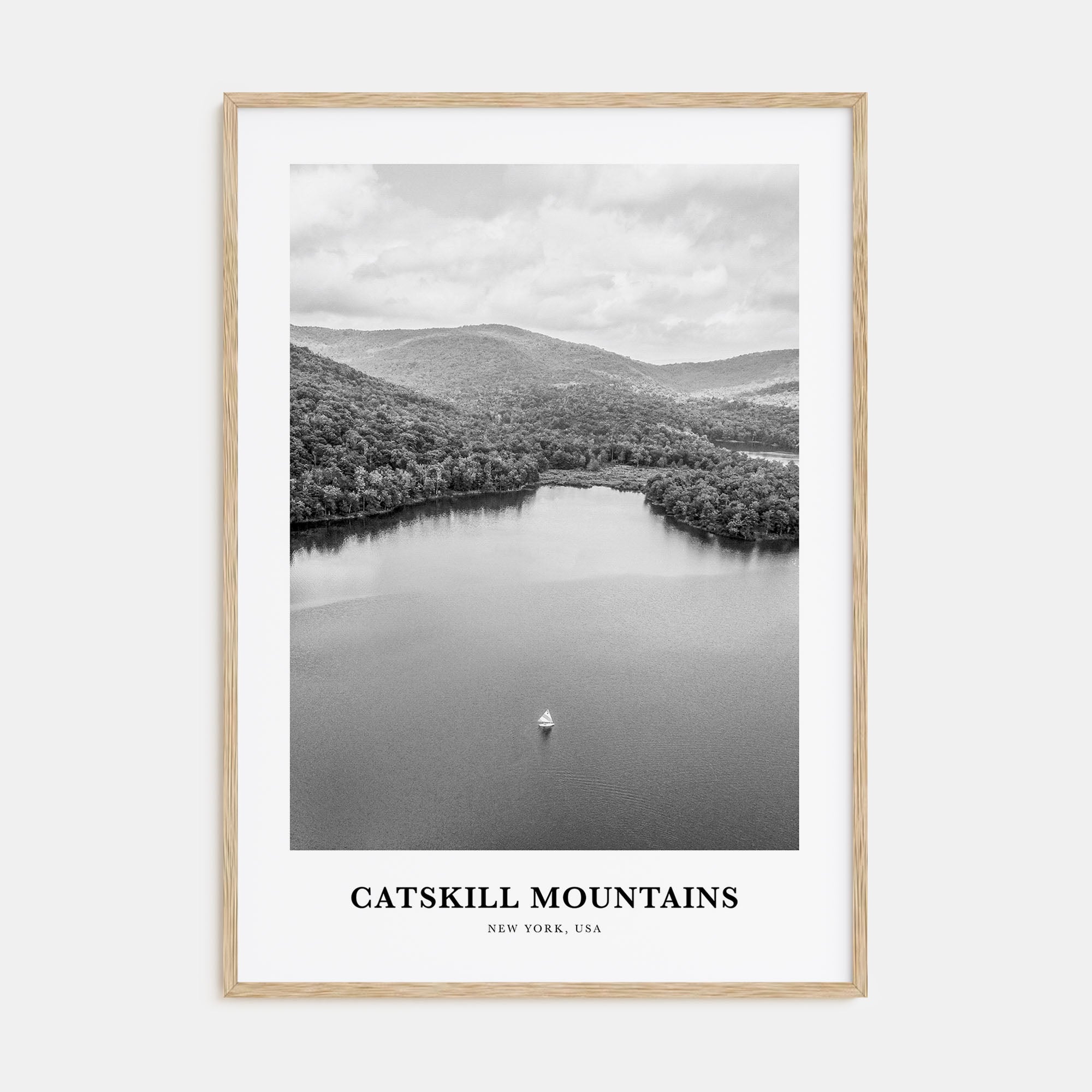 Catskill Mountains Portrait B&W No 2 Poster