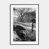 Central Park Photo B&W No 2 Poster