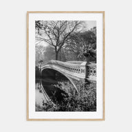 Central Park Photo B&W No 2 Poster