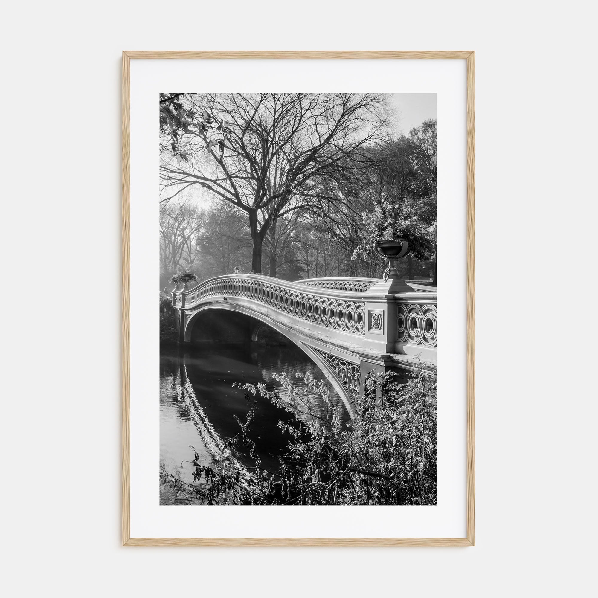 Central Park Photo B&W No 2 Poster