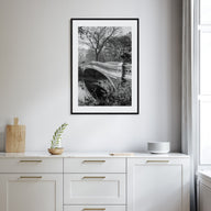 Central Park Photo B&W No 2 Poster