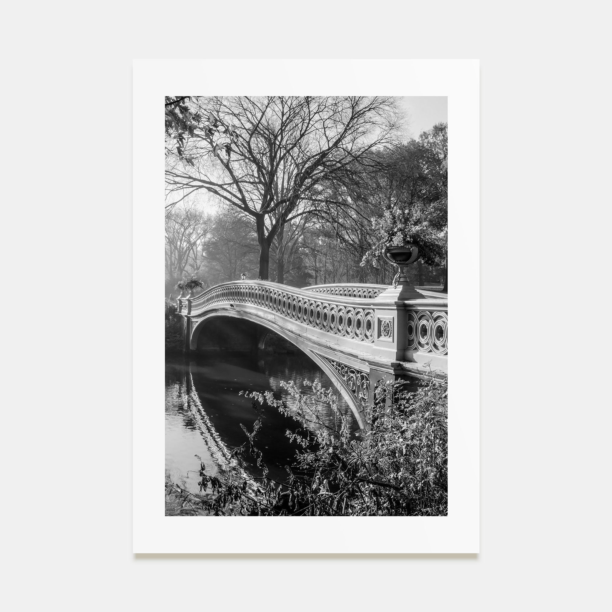 Central Park Photo B&W No 2 Poster