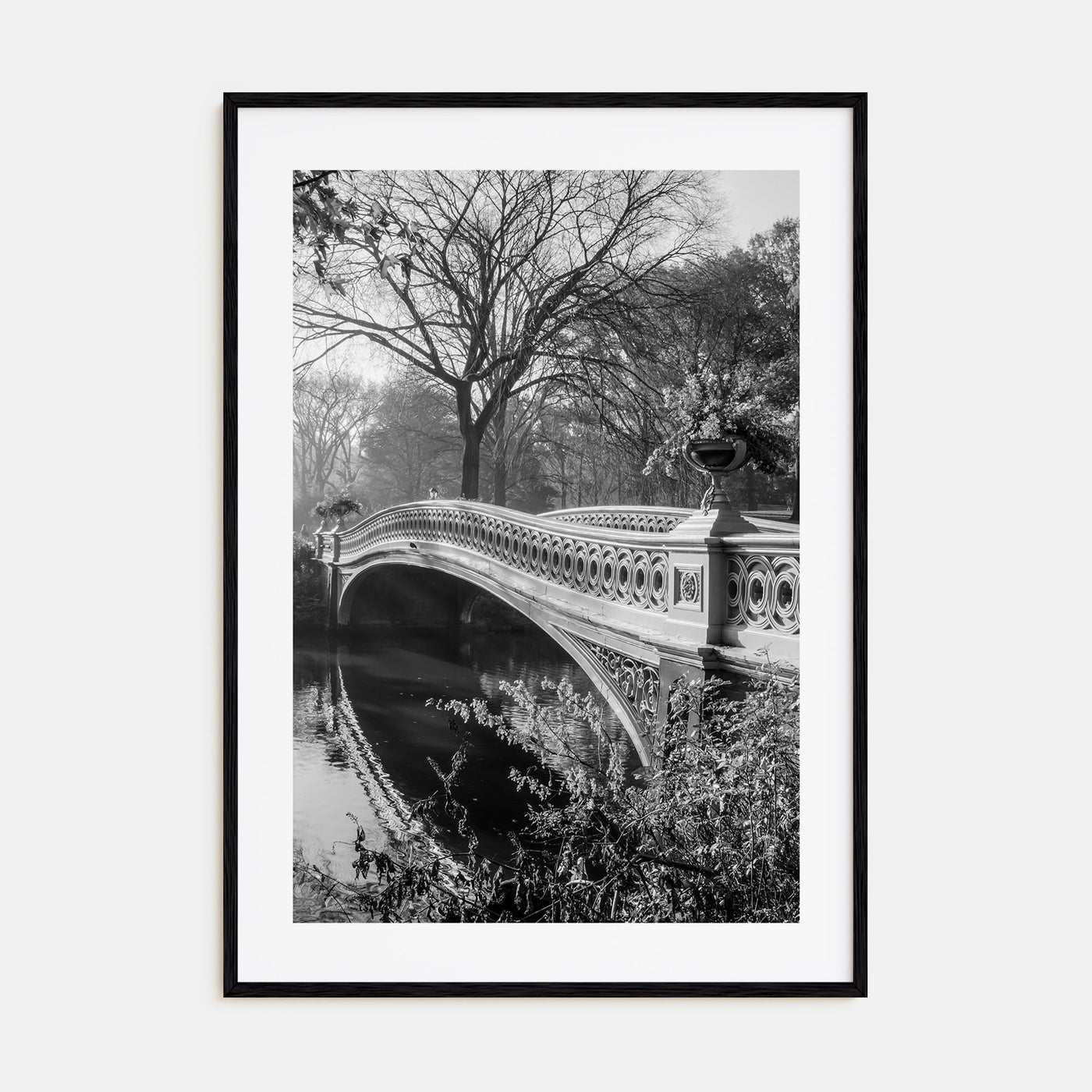 Central Park Photo B&W No 2 Poster