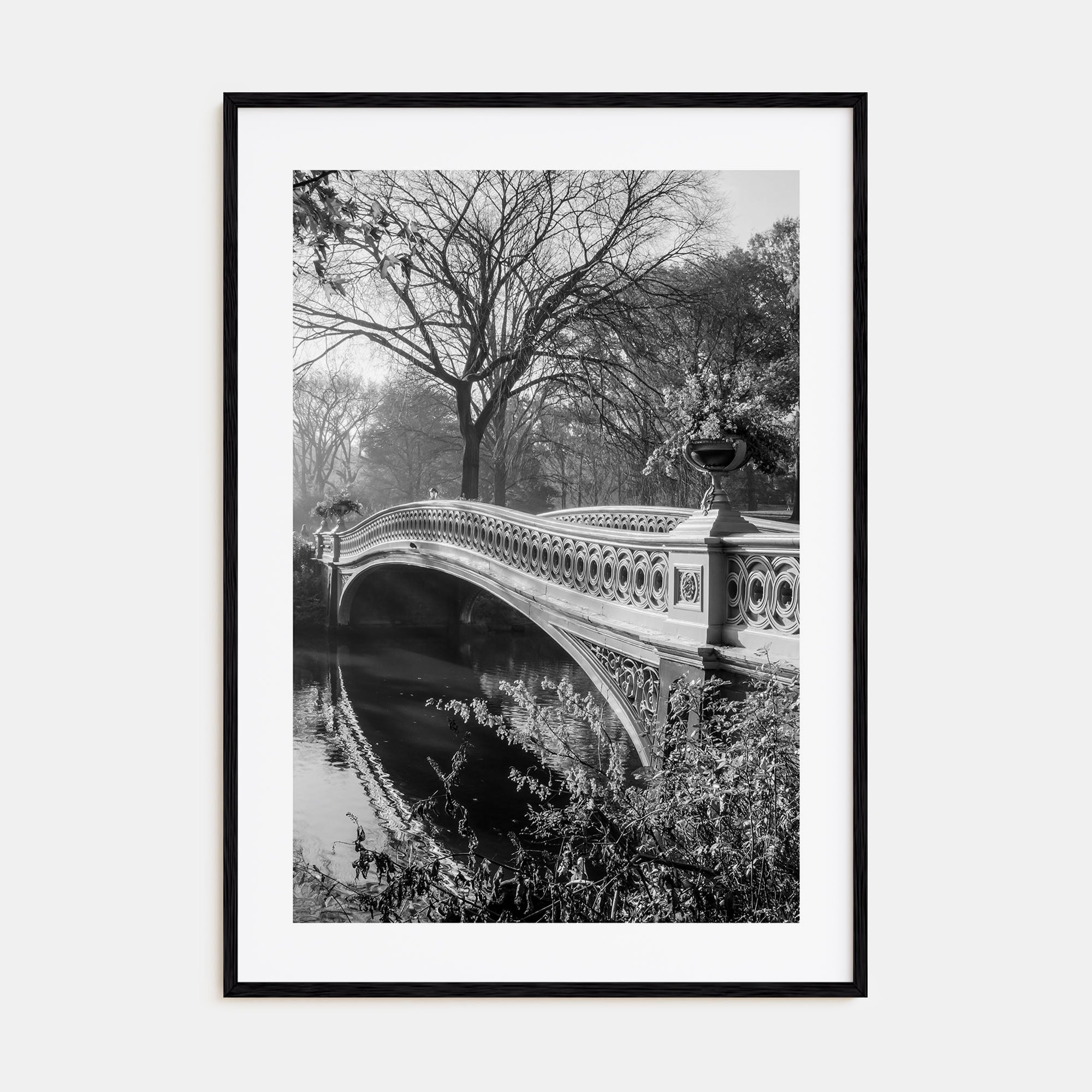Central Park Photo B&W No 2 Poster