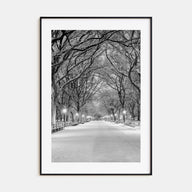 Central Park Photo B&W No 3 Poster