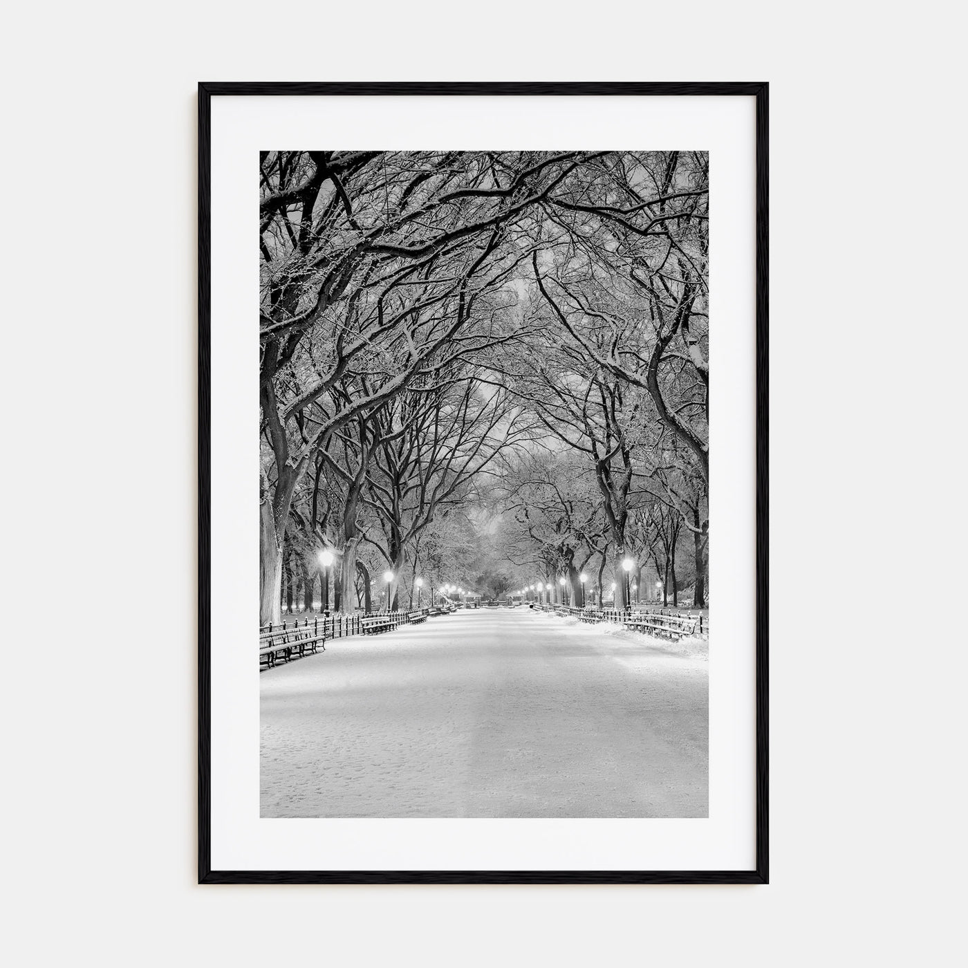 Central Park Photo B&W No 3 Poster