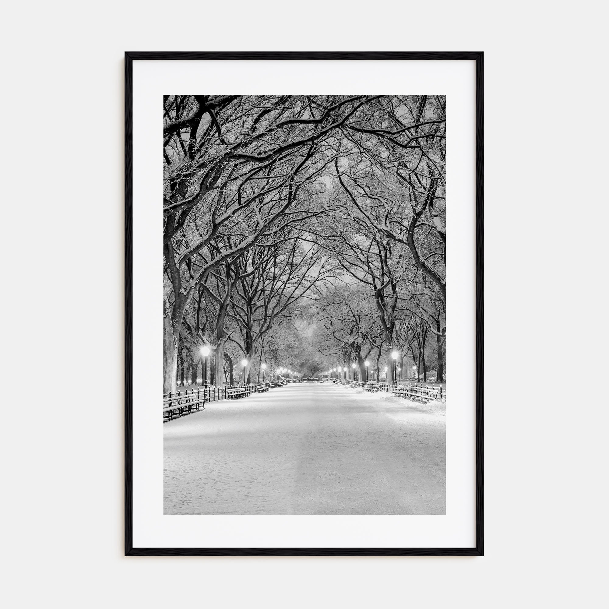 Central Park Photo B&W No 3 Poster
