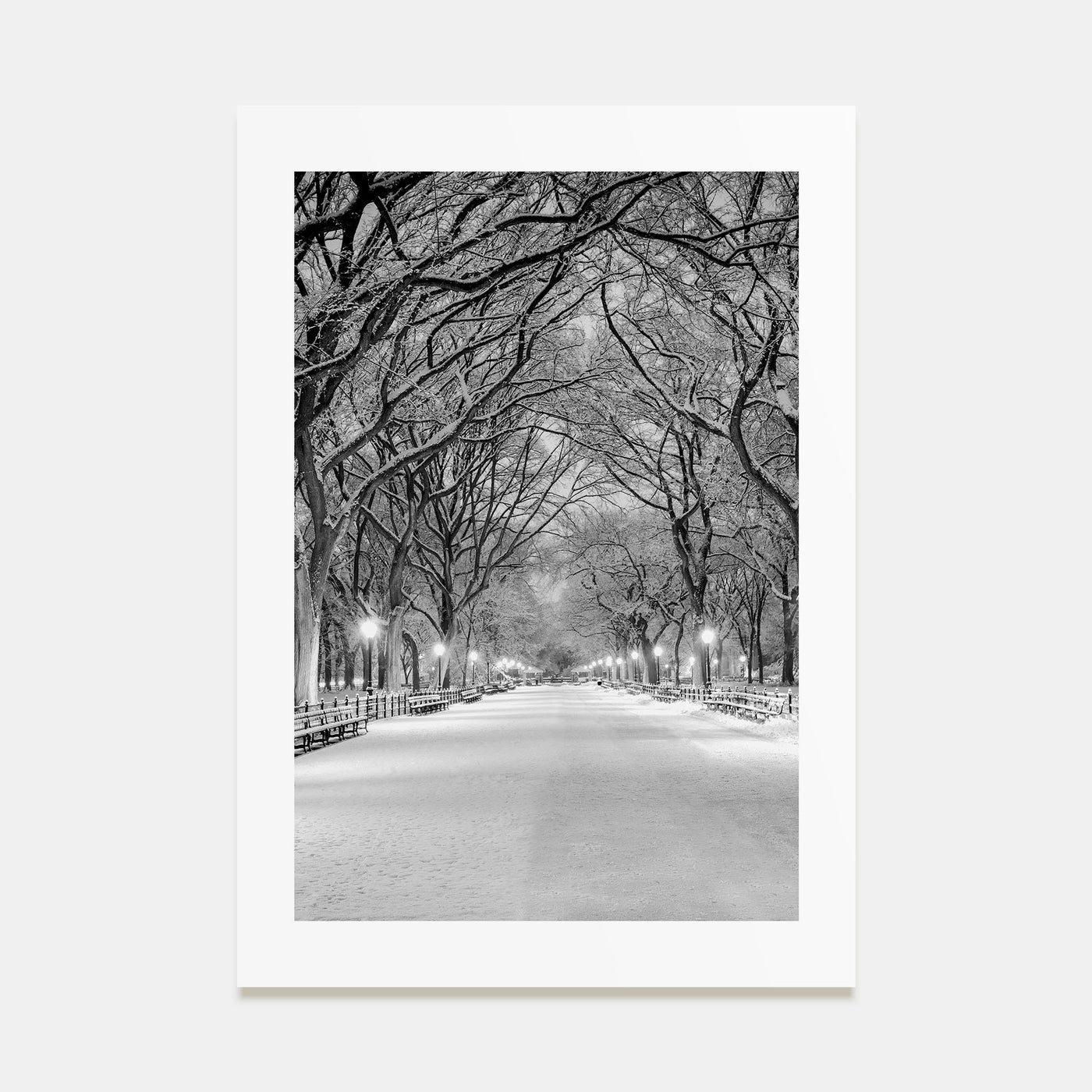 Central Park Photo B&W No 3 Poster