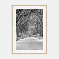 Central Park Photo B&W No 3 Poster