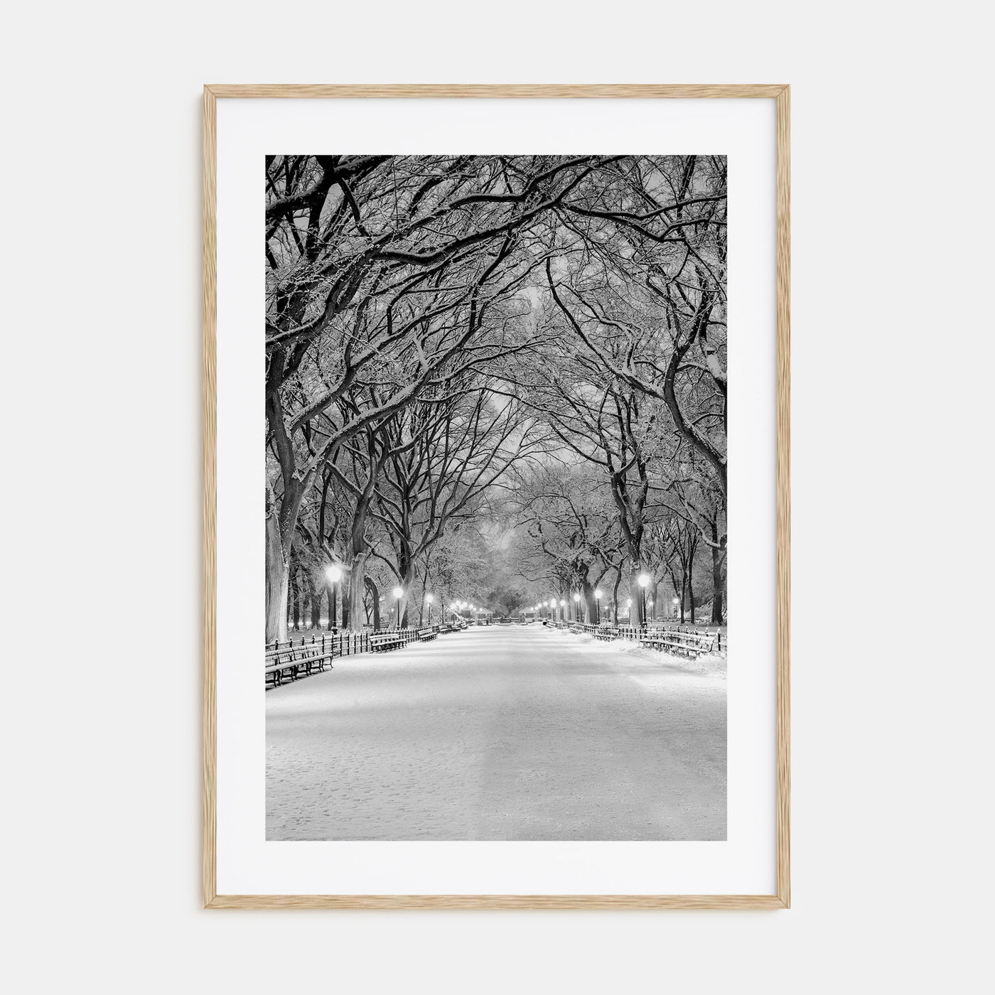 Central Park Photo B&W No 3 Poster
