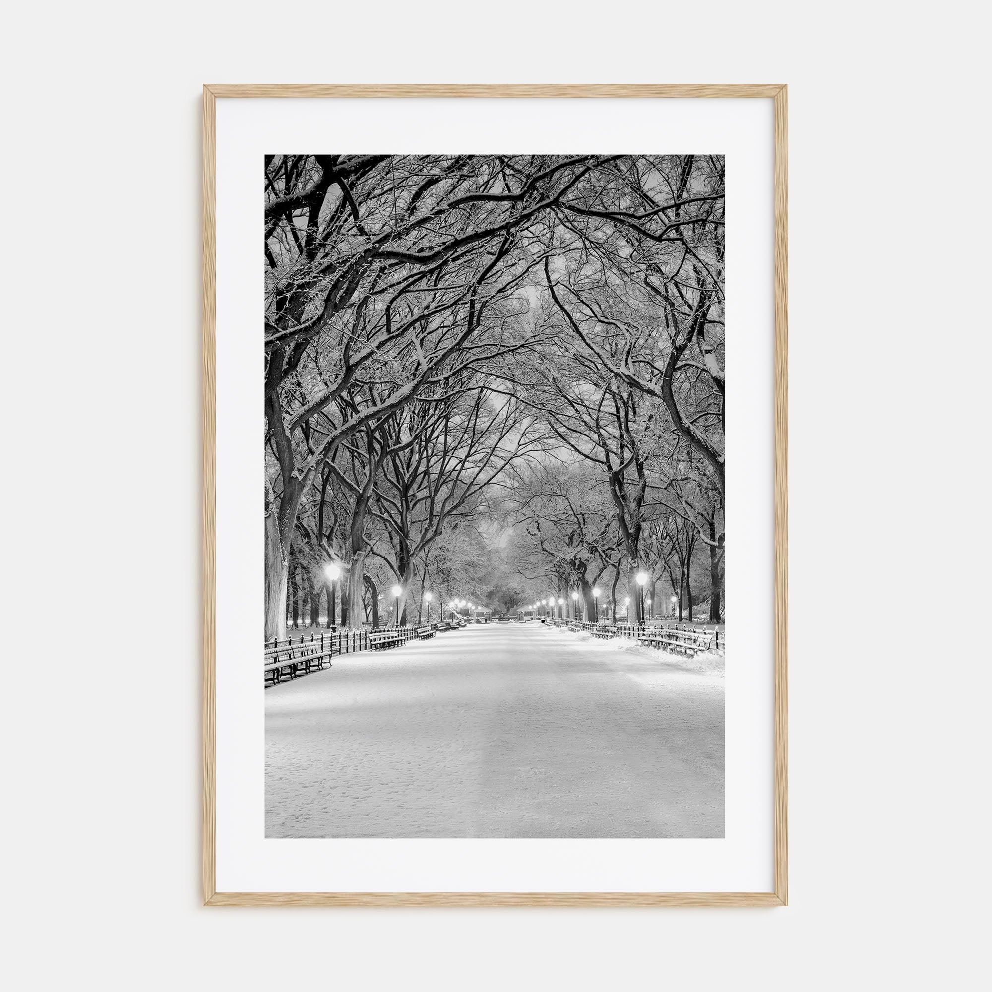 Central Park Photo B&W No 3 Poster