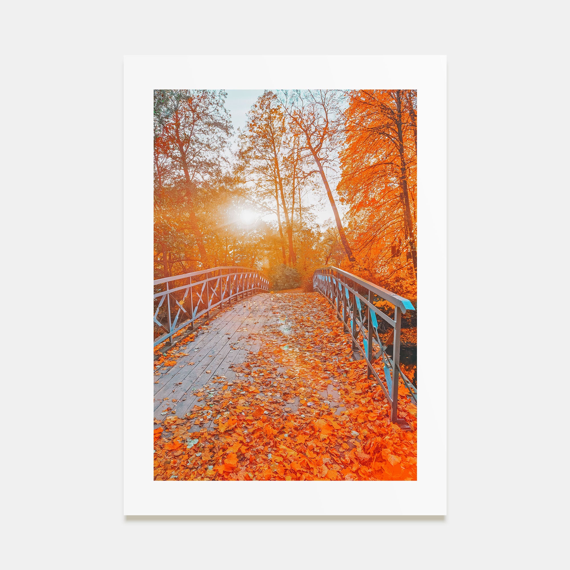 Central Park Photo Color No 2 Poster