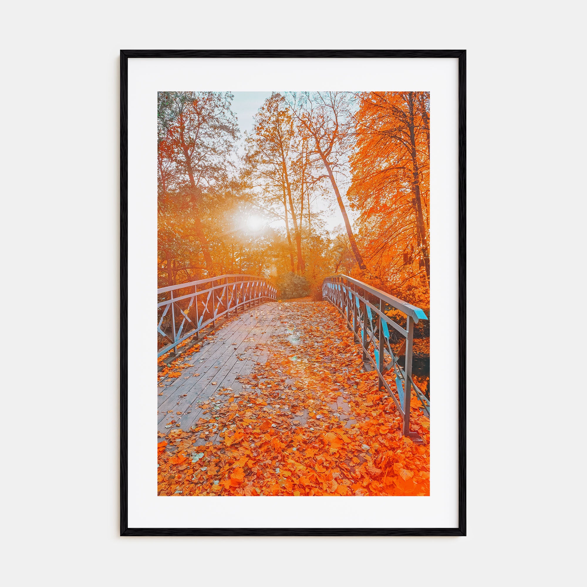 Central Park Photo Color No 2 Poster