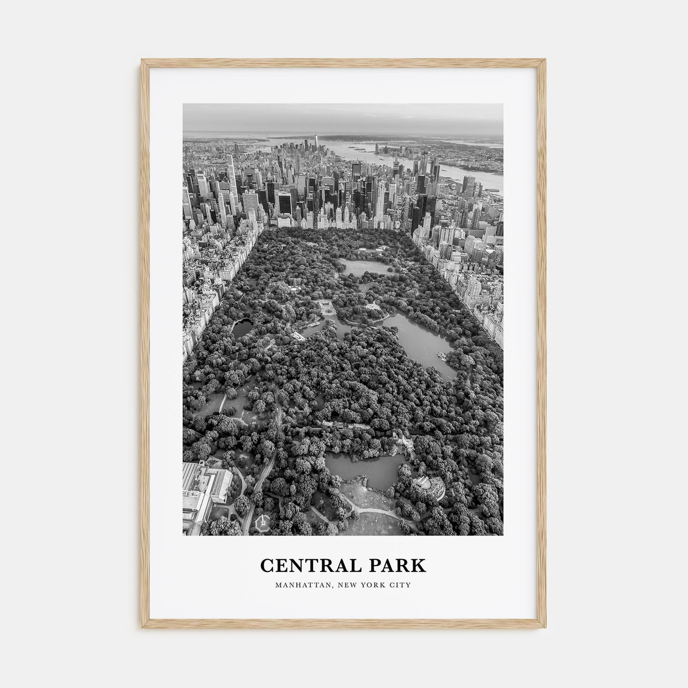 Central Park Portrait B&W Poster