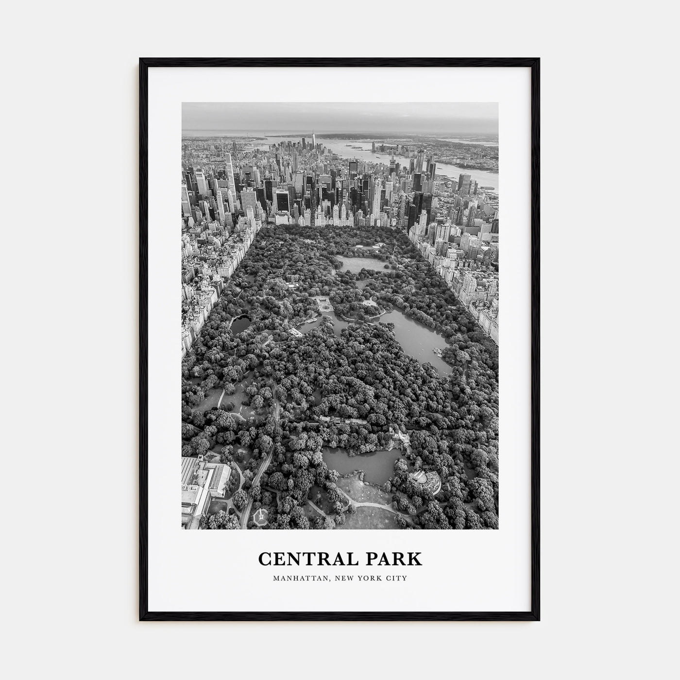 Central Park Portrait B&W Poster