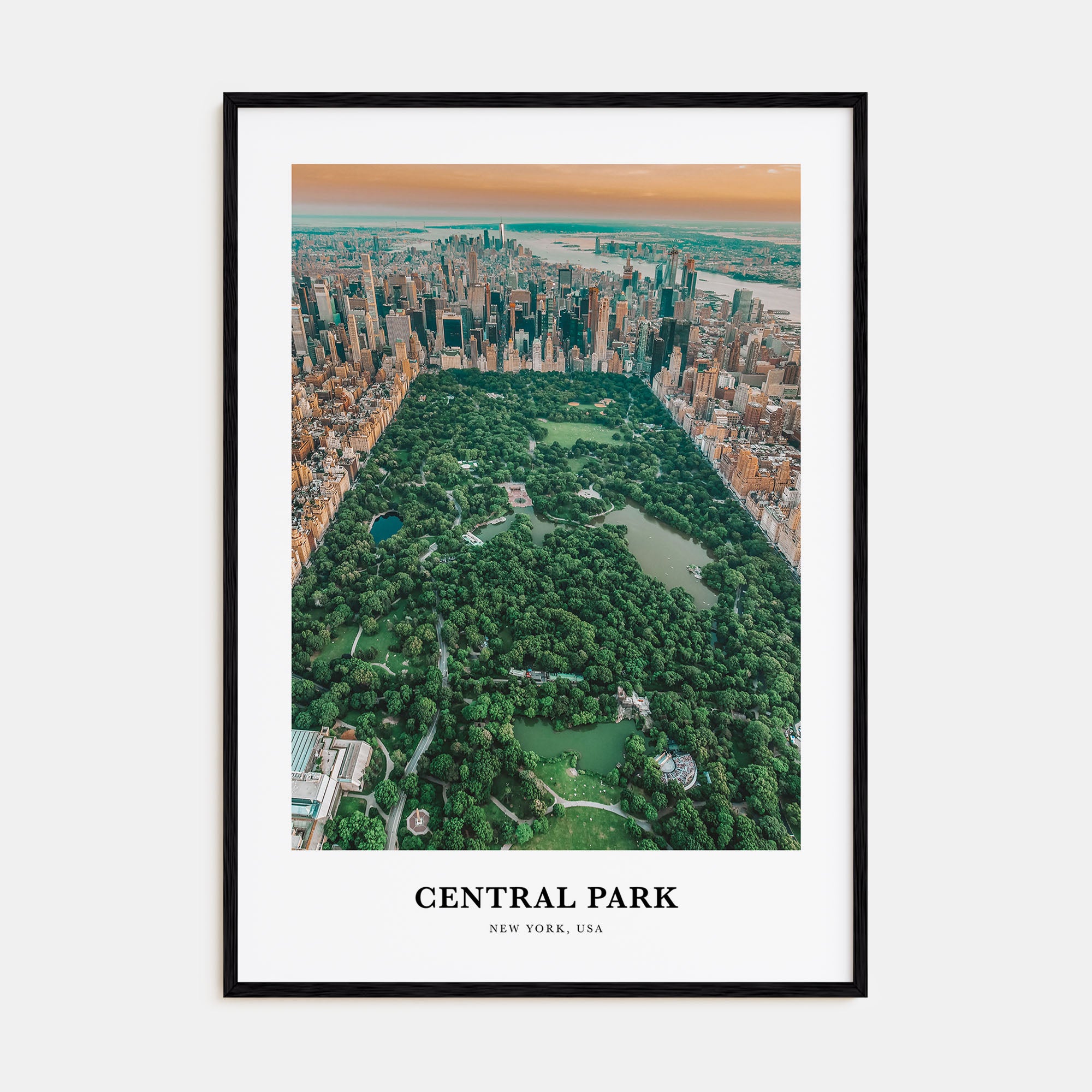 Central Park Portrait Color Poster