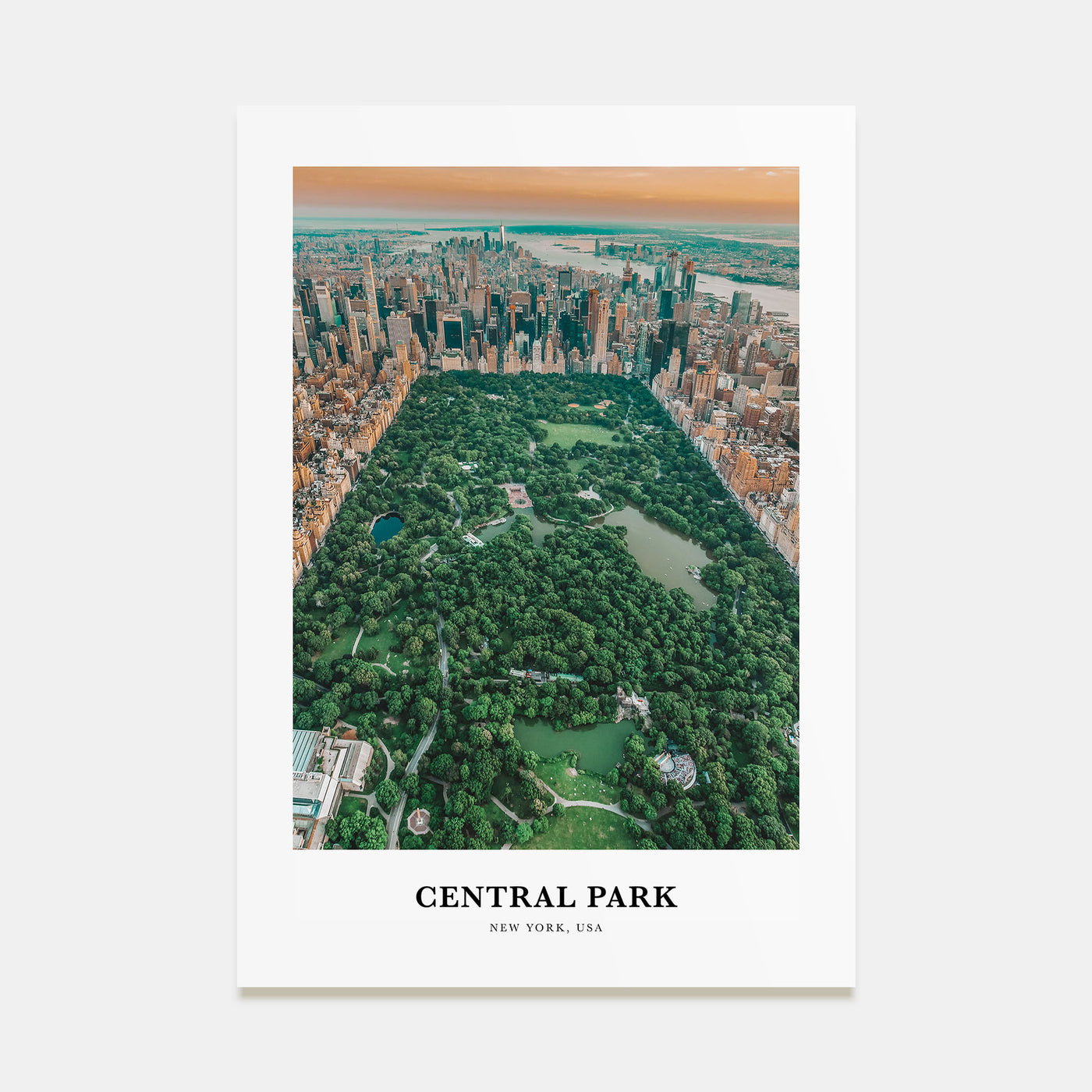 Central Park Portrait Color Poster