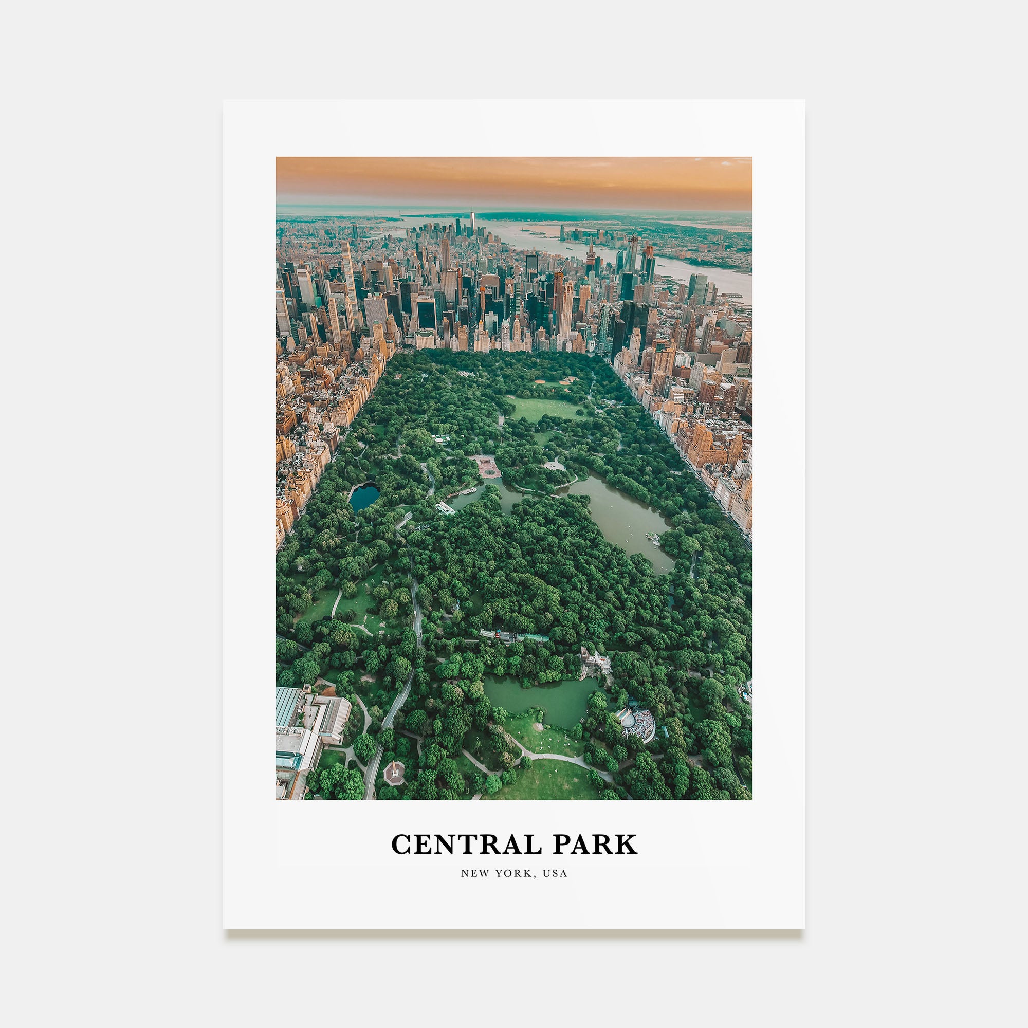 Central Park Portrait Color Poster