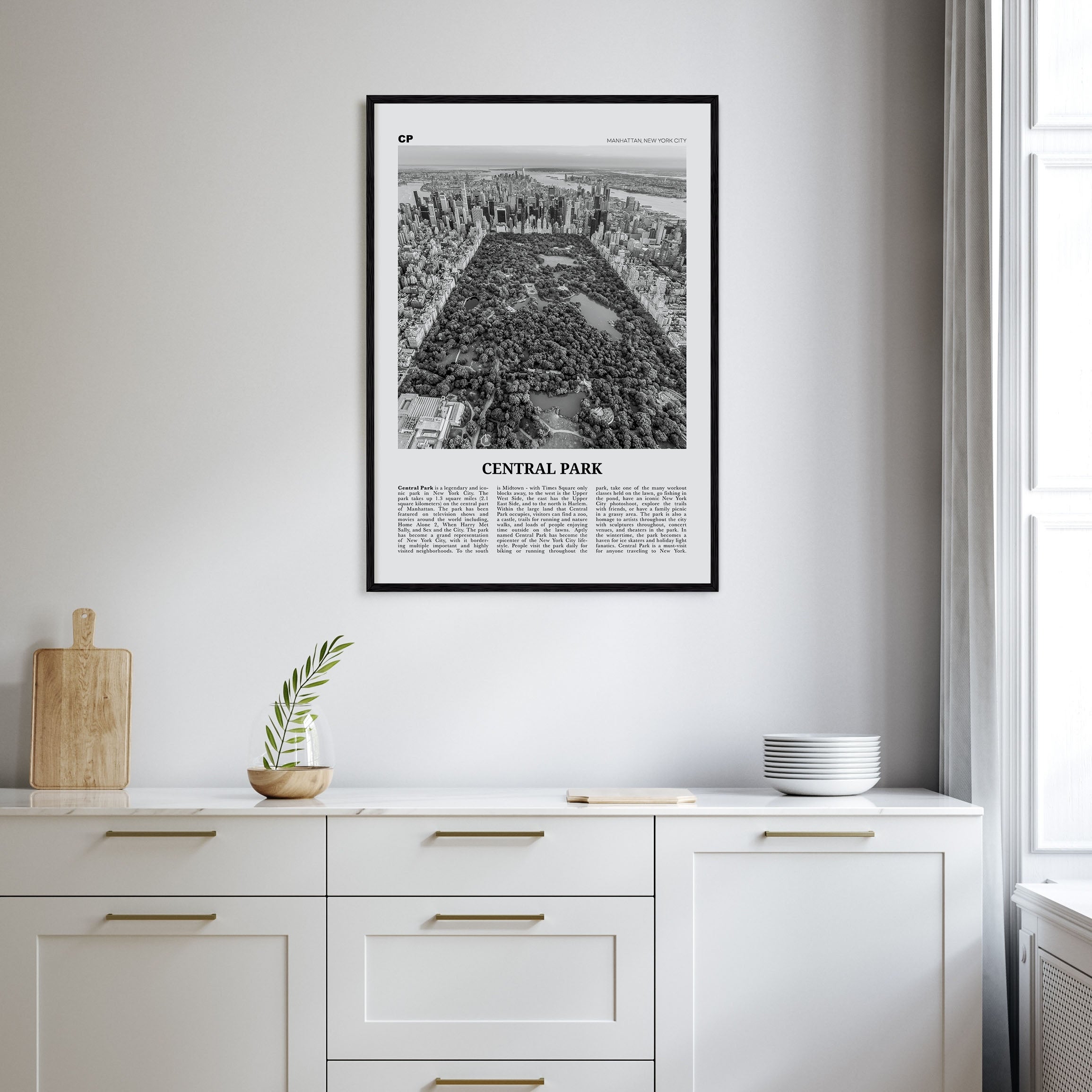 Central Park Travel B&W Poster
