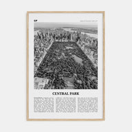 Central Park Travel B&W Poster