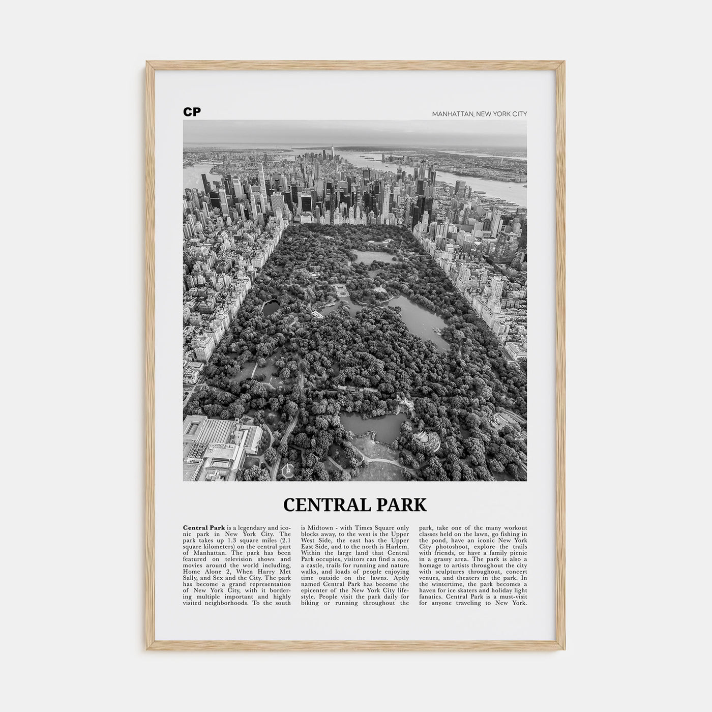 Central Park Travel B&W Poster