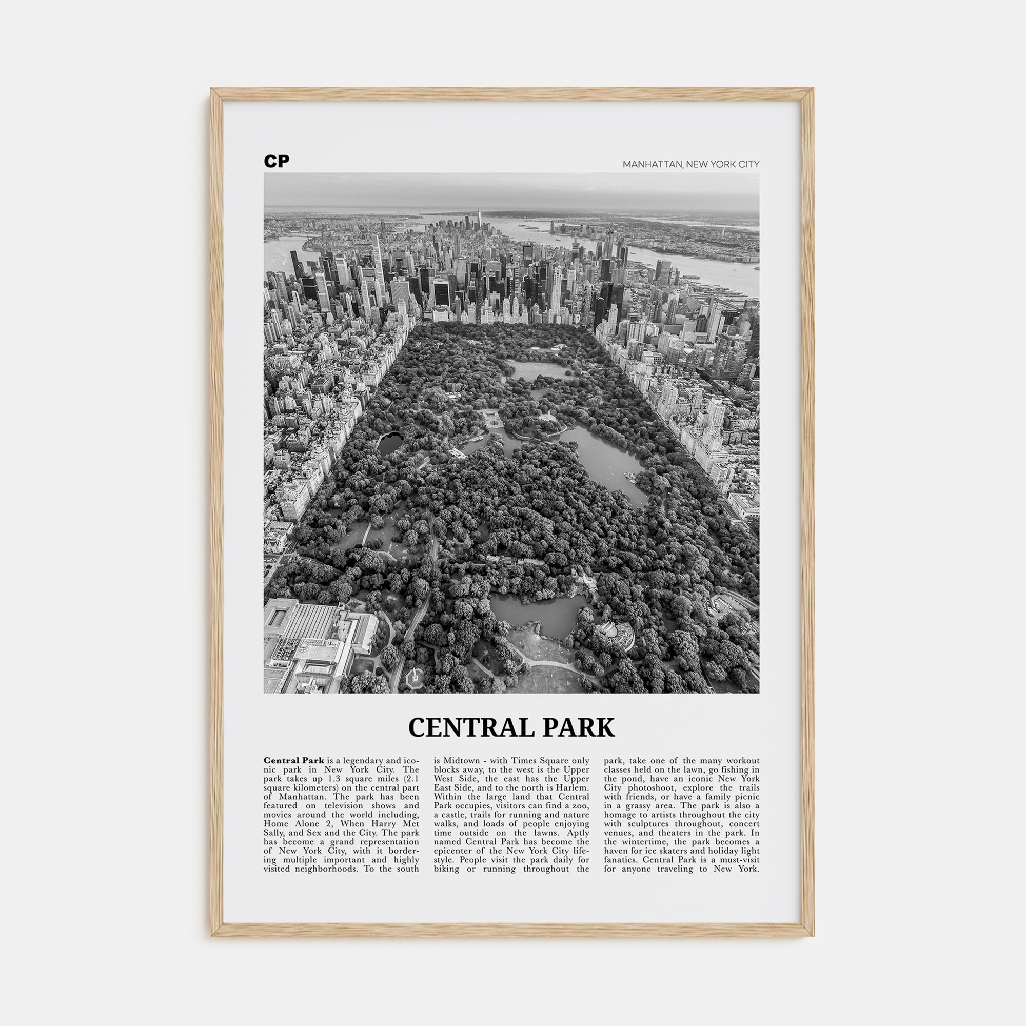 Central Park Travel B&W Poster