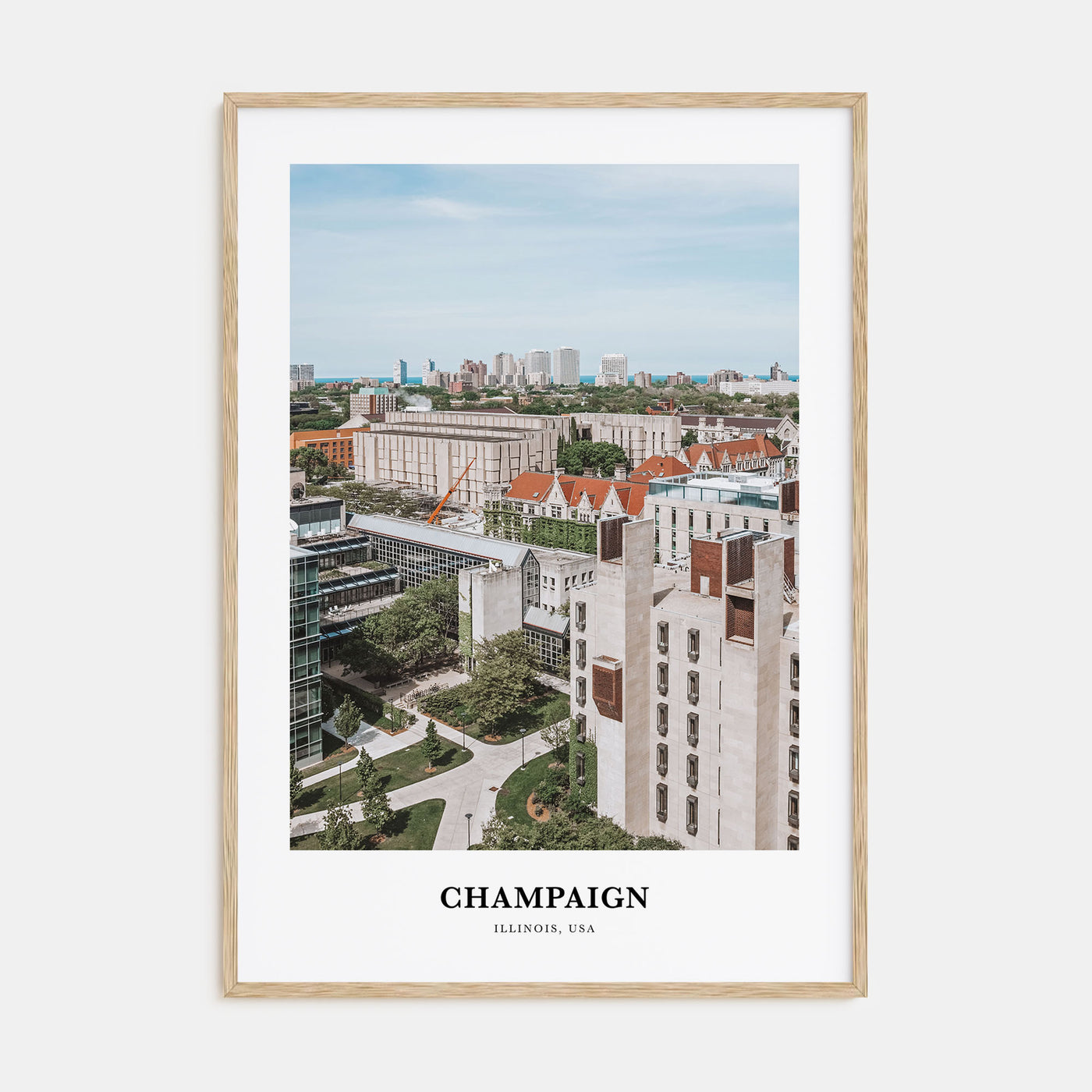 Champaign Portrait Color Poster