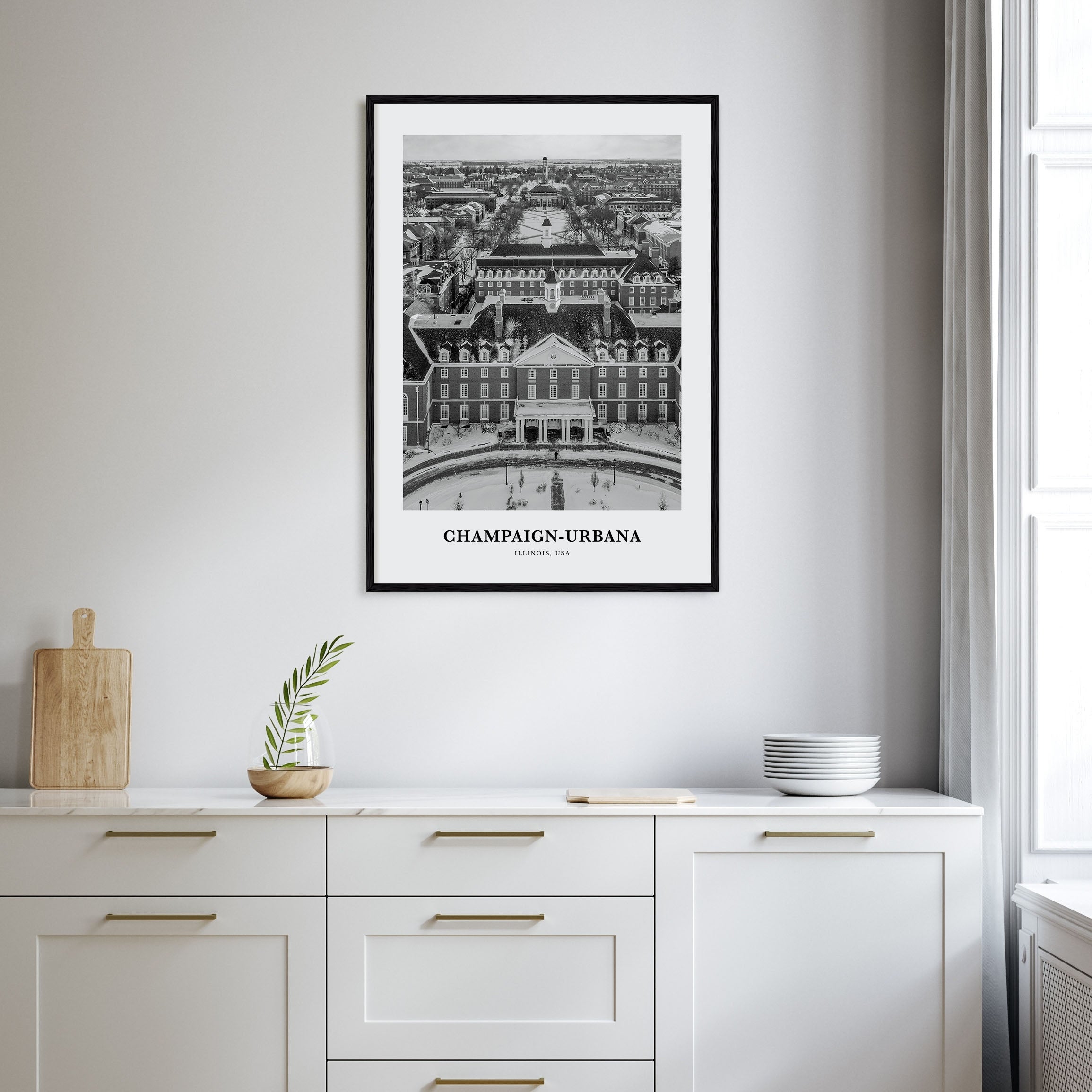 Champaign-Urbana Portrait B&W Poster