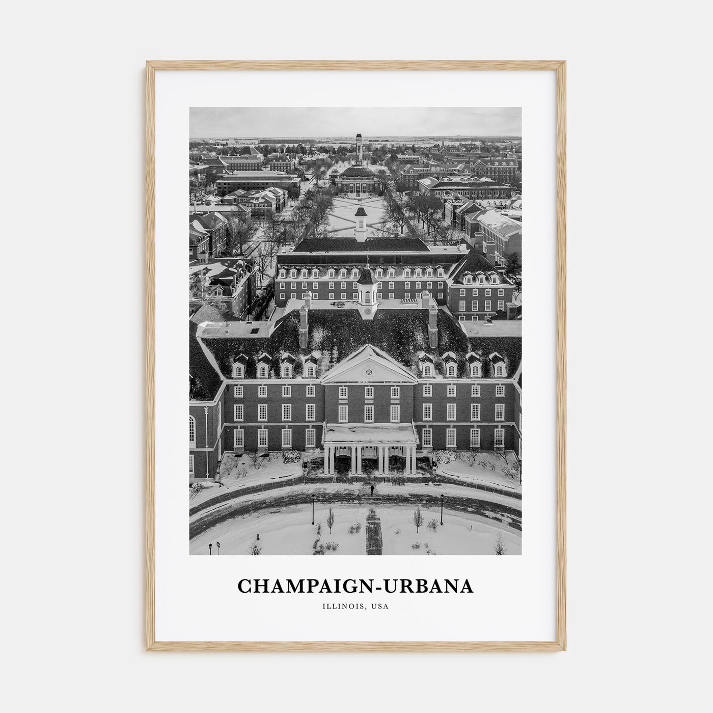 Champaign-Urbana Portrait B&W Poster