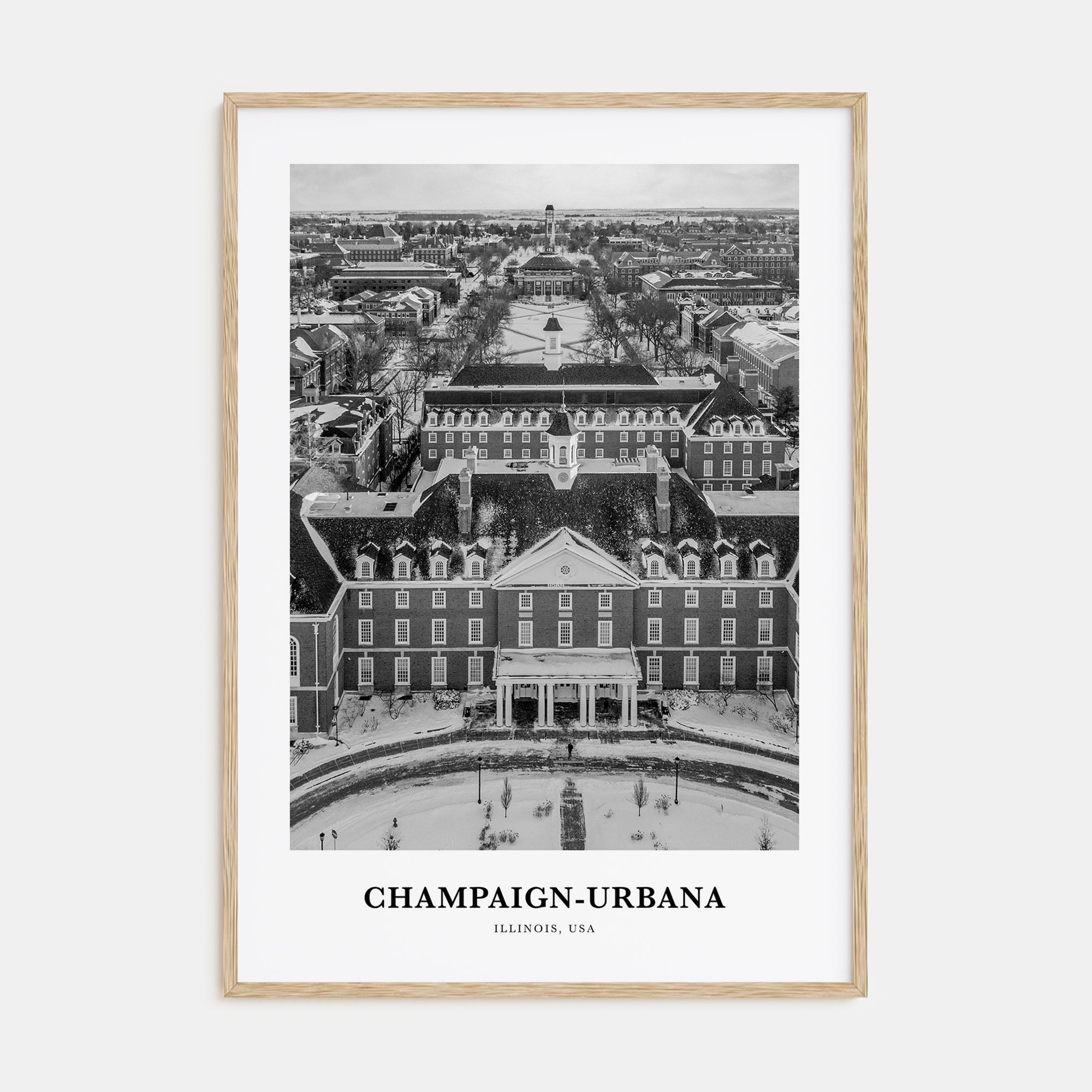 Champaign-Urbana Portrait B&W Poster