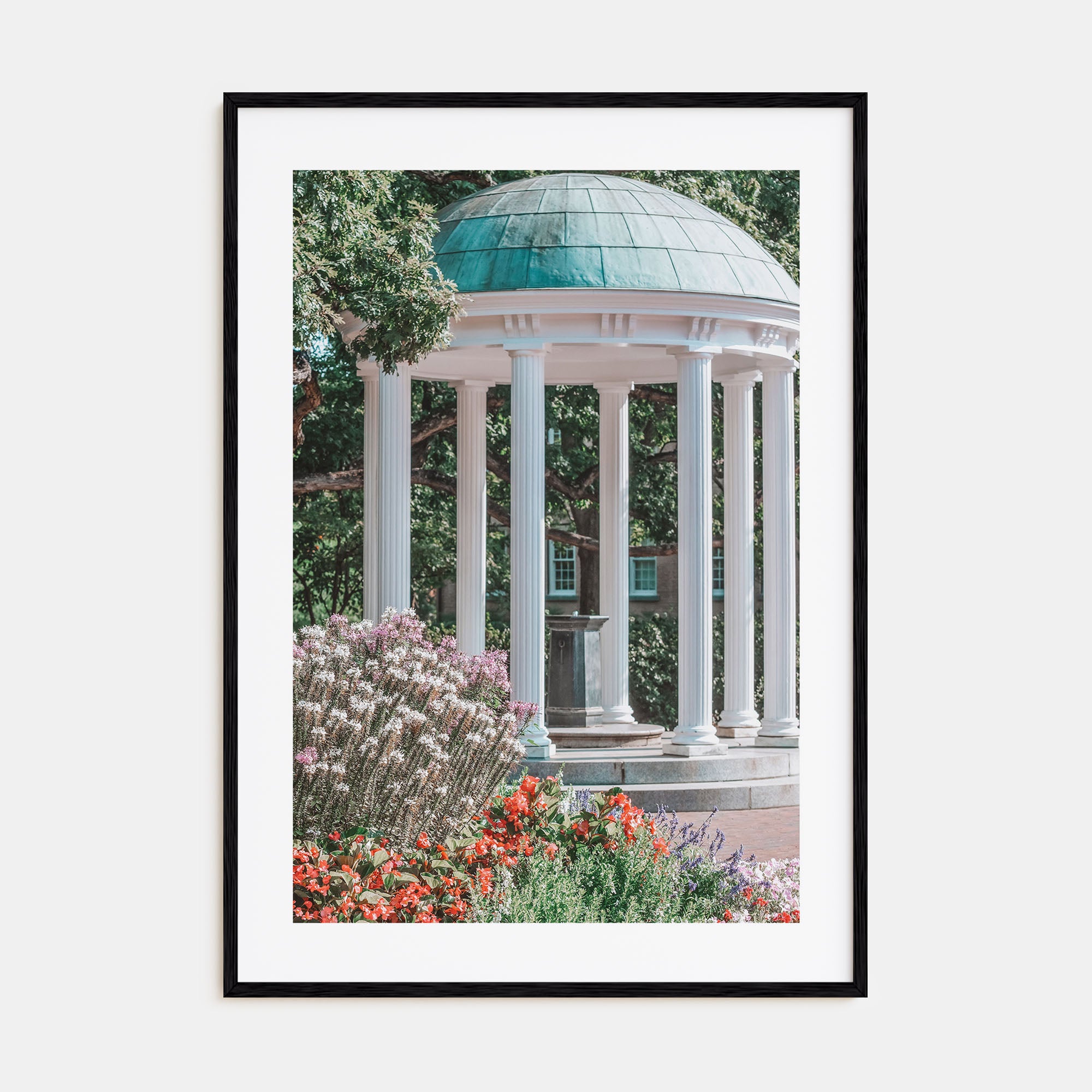 Chapel Hill Photo Color Poster