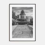 Charleston, South Carolina Photo B&W No 2 Poster