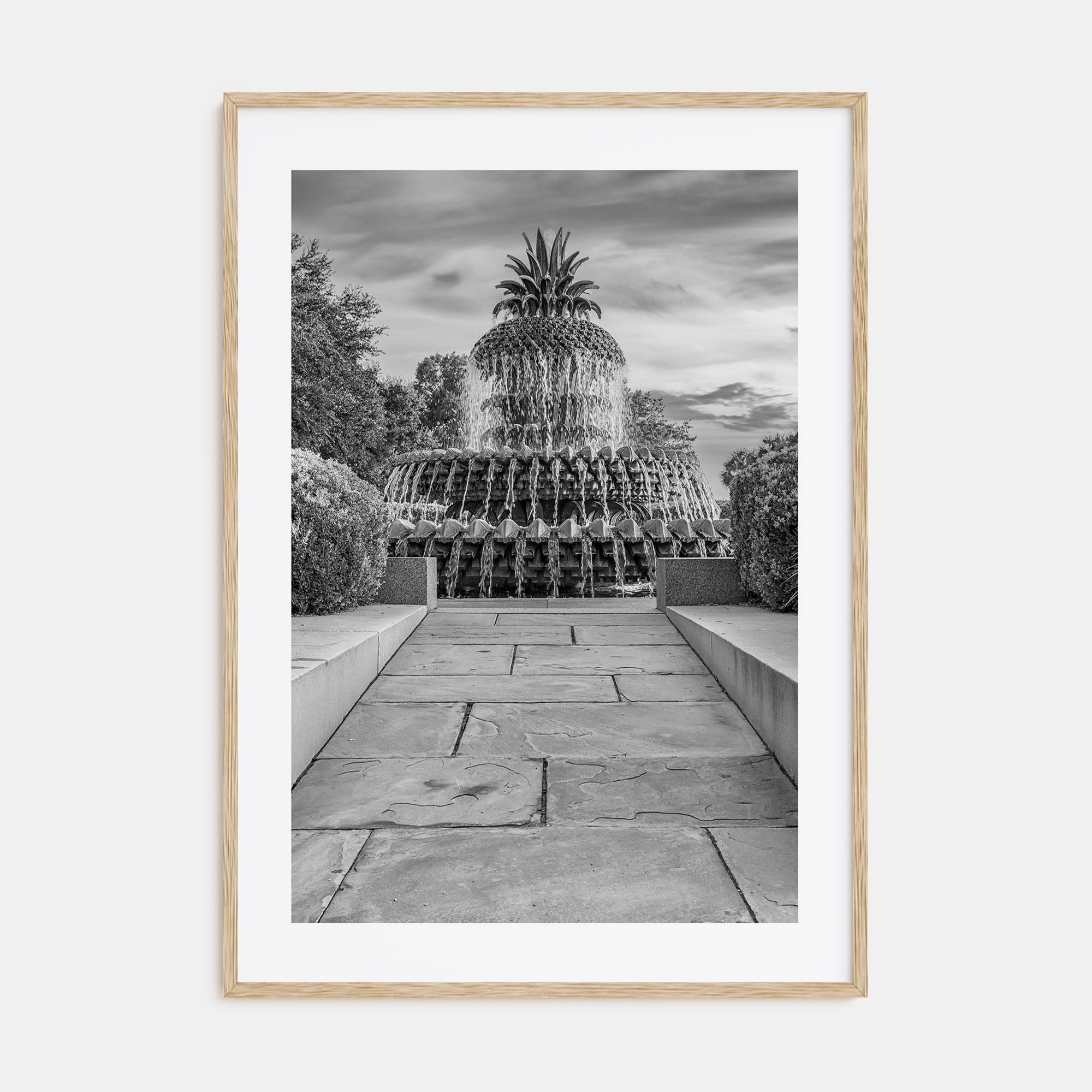 Charleston, South Carolina Photo B&W No 2 Poster