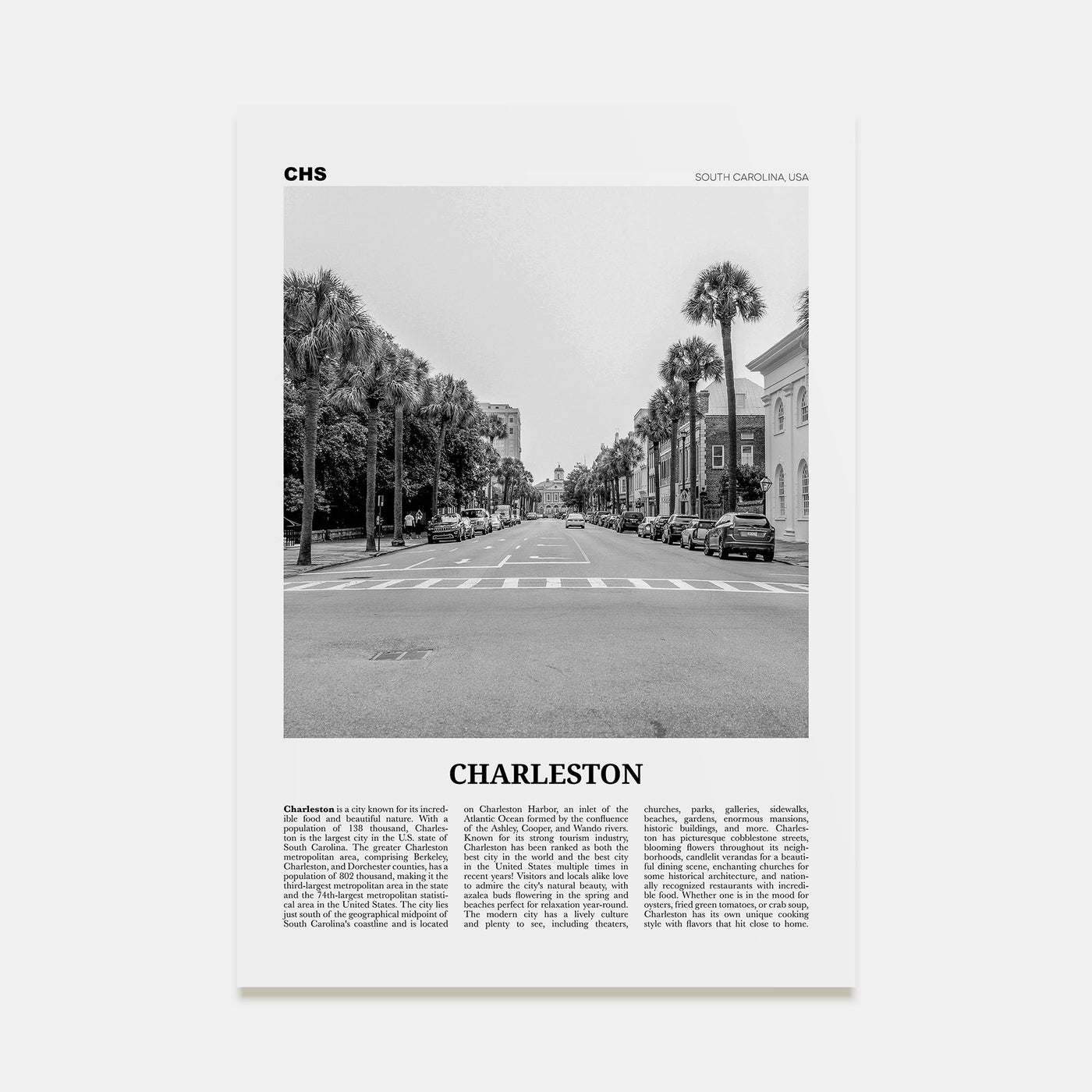 Charleston, South Carolina Travel B&W No 2 Poster