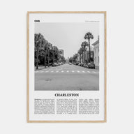 Charleston, South Carolina Travel B&W No 2 Poster