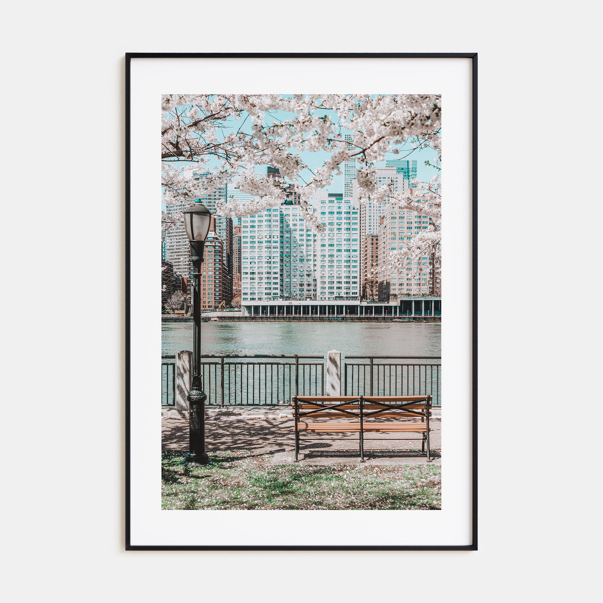 Cherry Blossoms Photo Color No 1 Poster