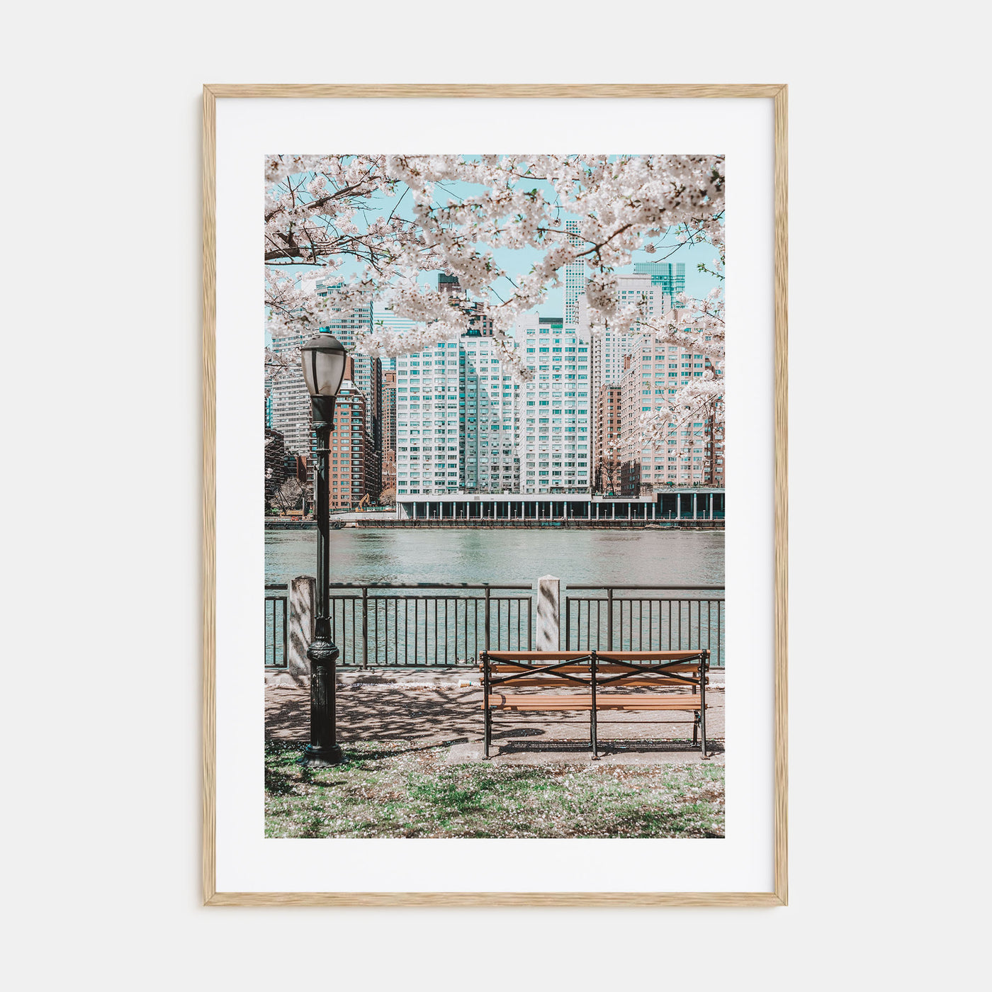 Cherry Blossoms Photo Color No 1 Poster
