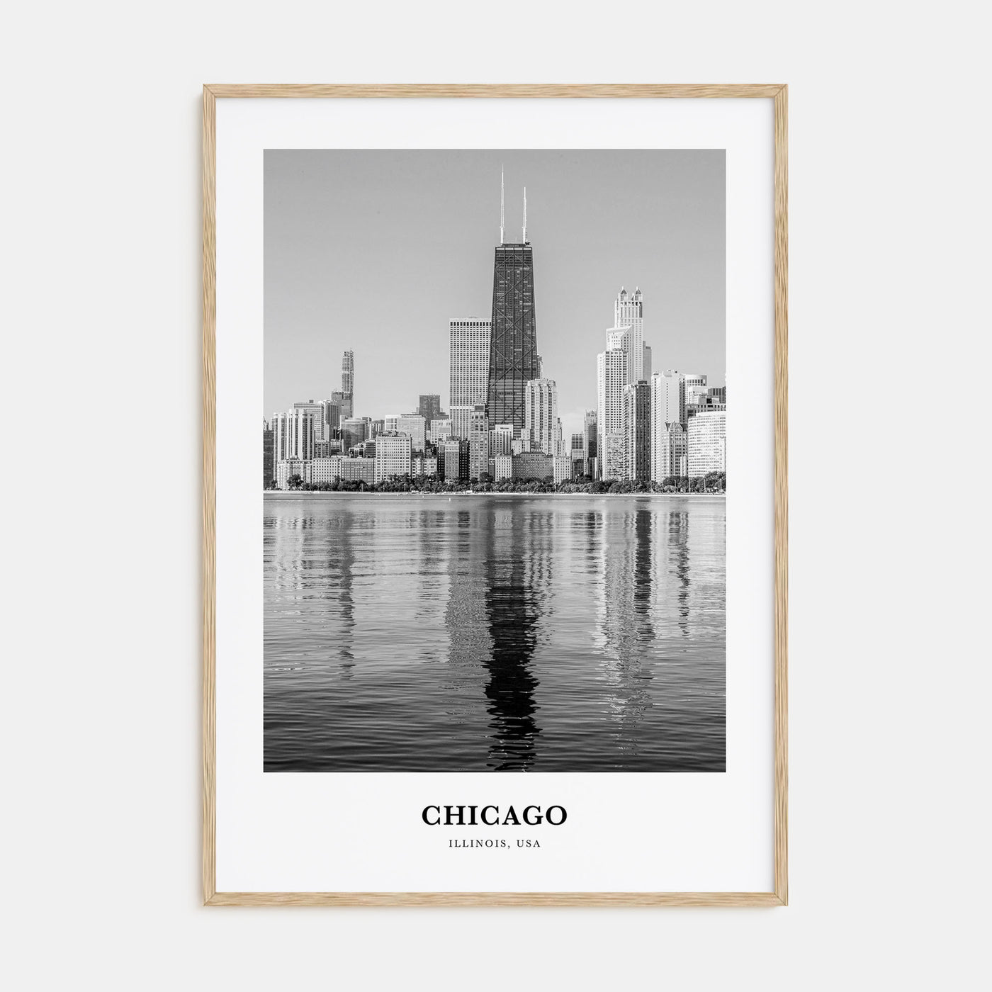 Chicago Portrait B&W No 4 Poster