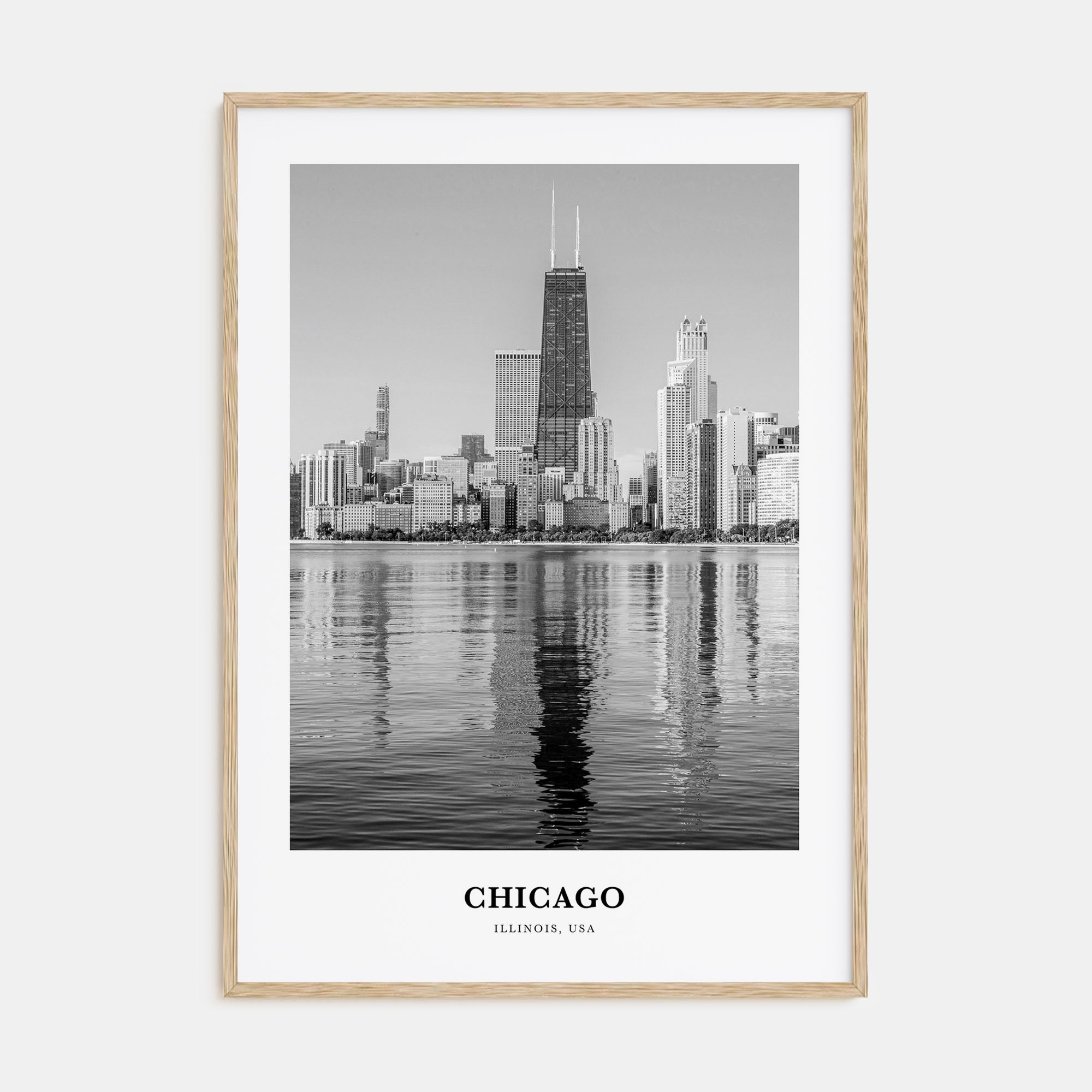 Chicago Portrait B&W No 4 Poster