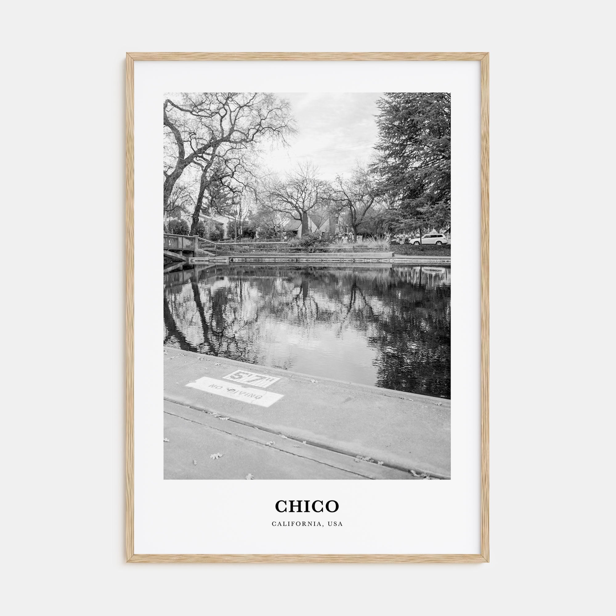 Chico Portrait B&W Poster